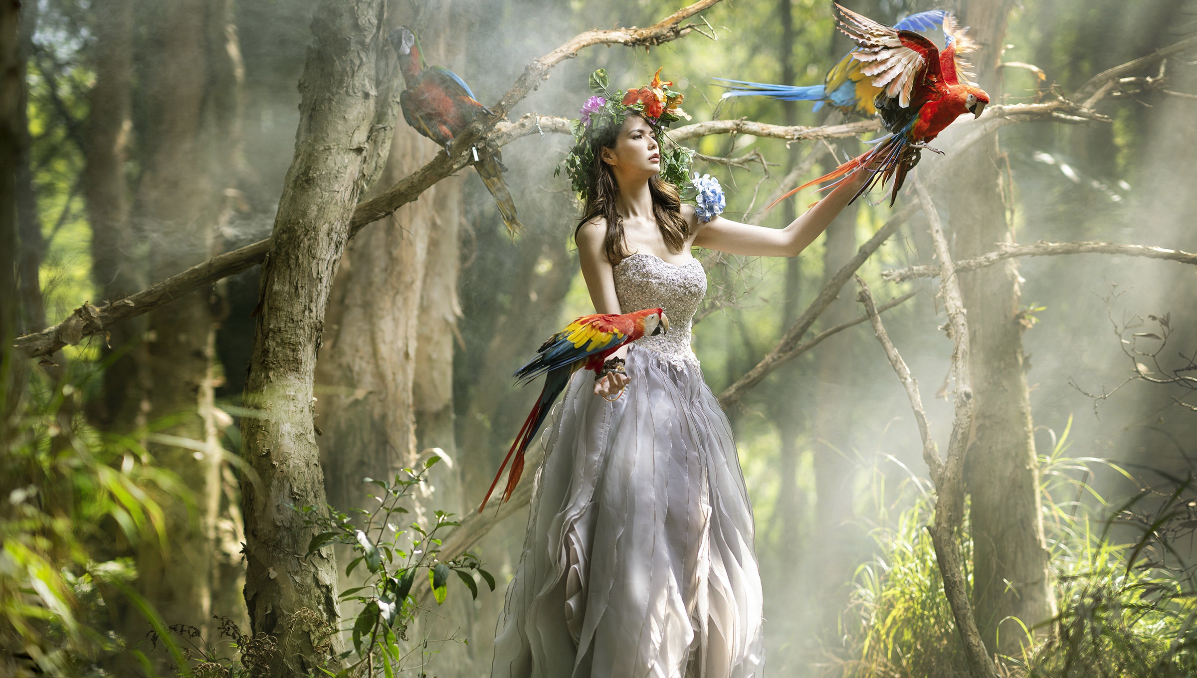 People 2400x1360 Asian women model animals birds parrot fantasy girl trees women outdoors