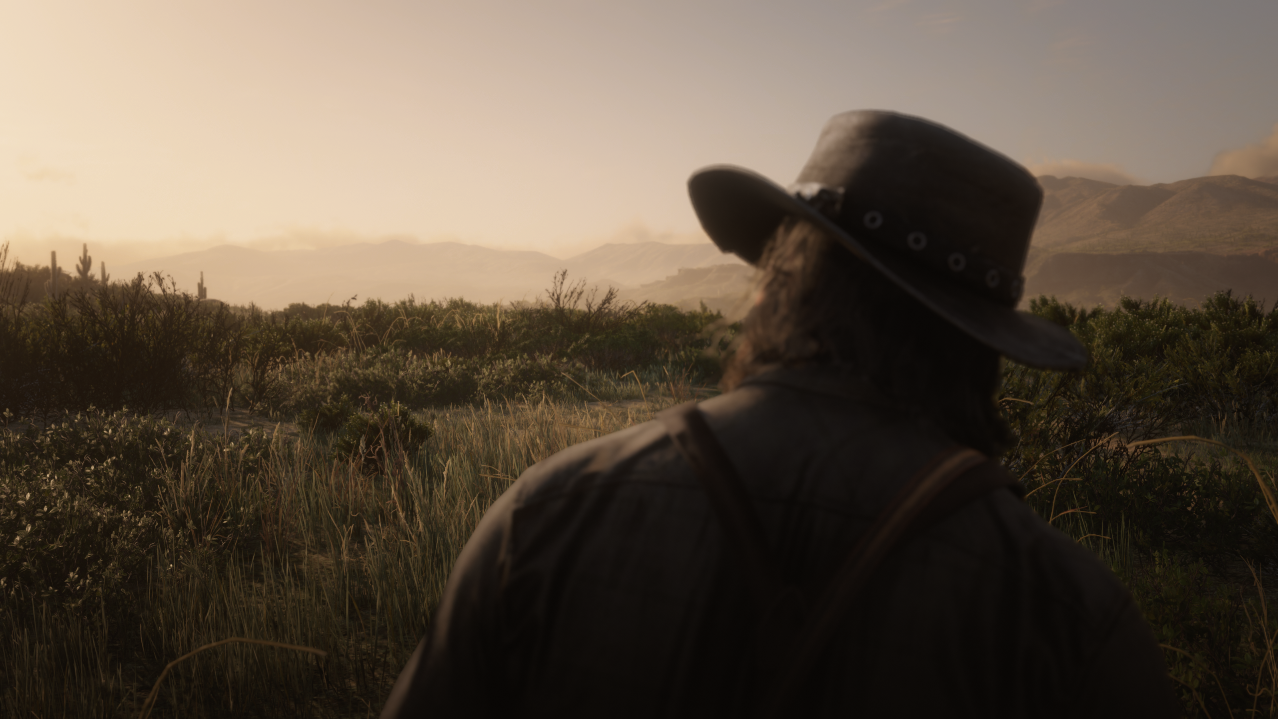 General 2560x1440 Red Dead Redemption 2 John Marston video game characters western sunset nature