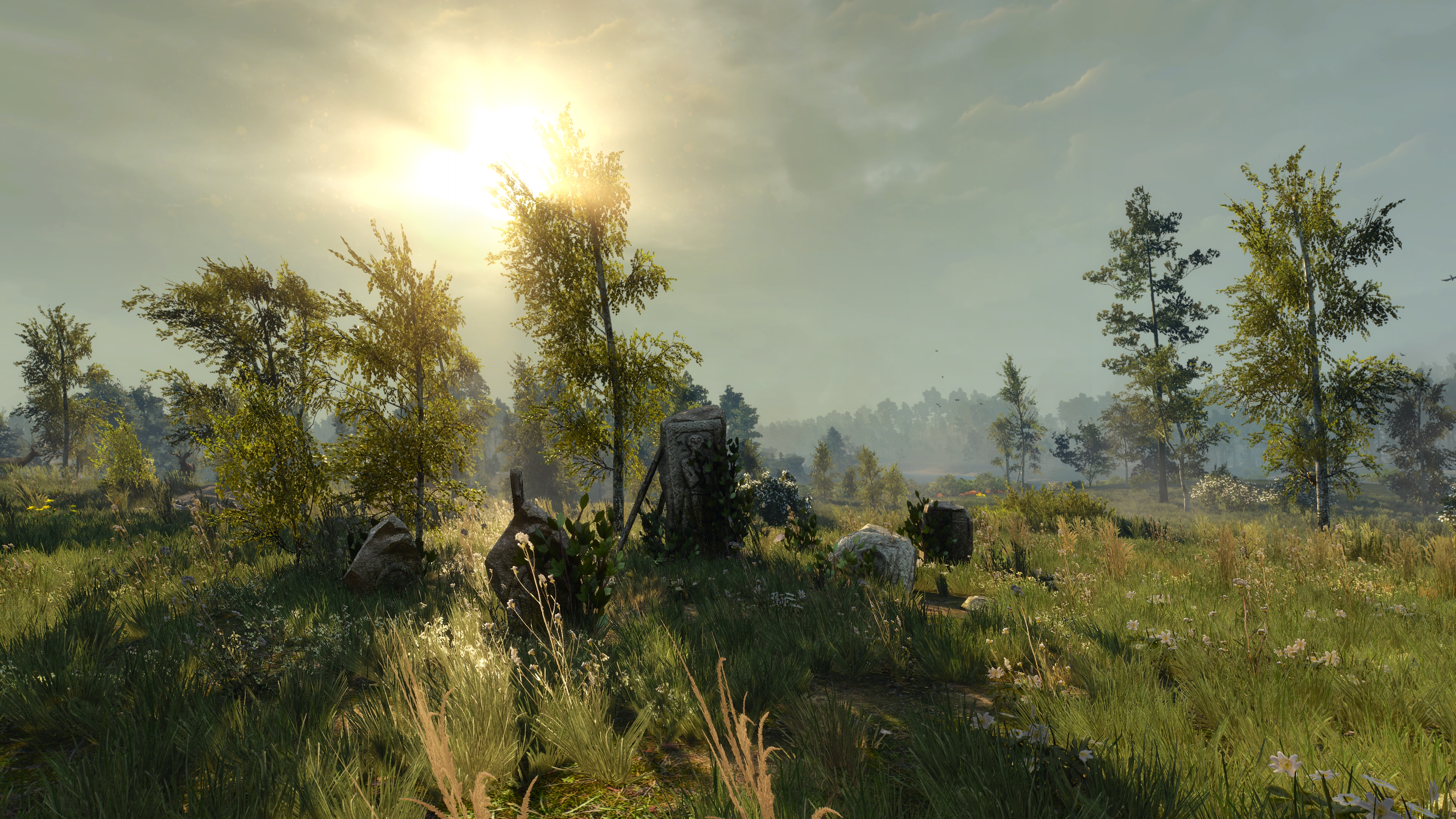 General 3840x2160 The Witcher 3: Wild Hunt stones forest