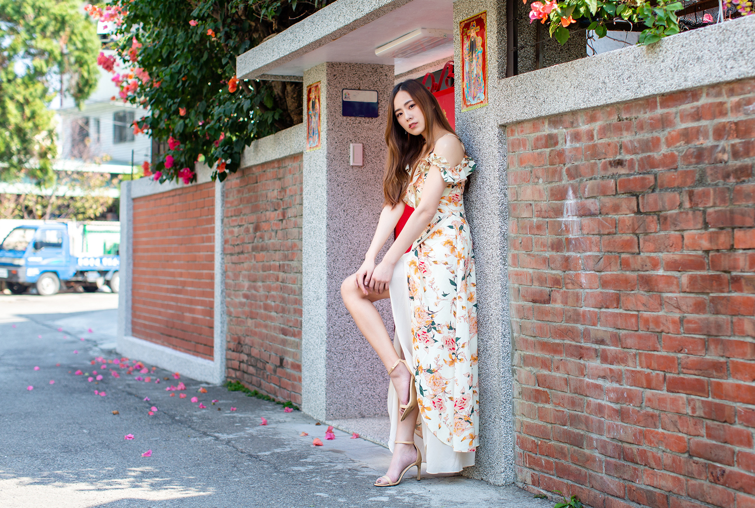 People 2560x1724 Asian model women long hair brunette wall bricks leaning barefoot sandal flower dress bushes flowers petals