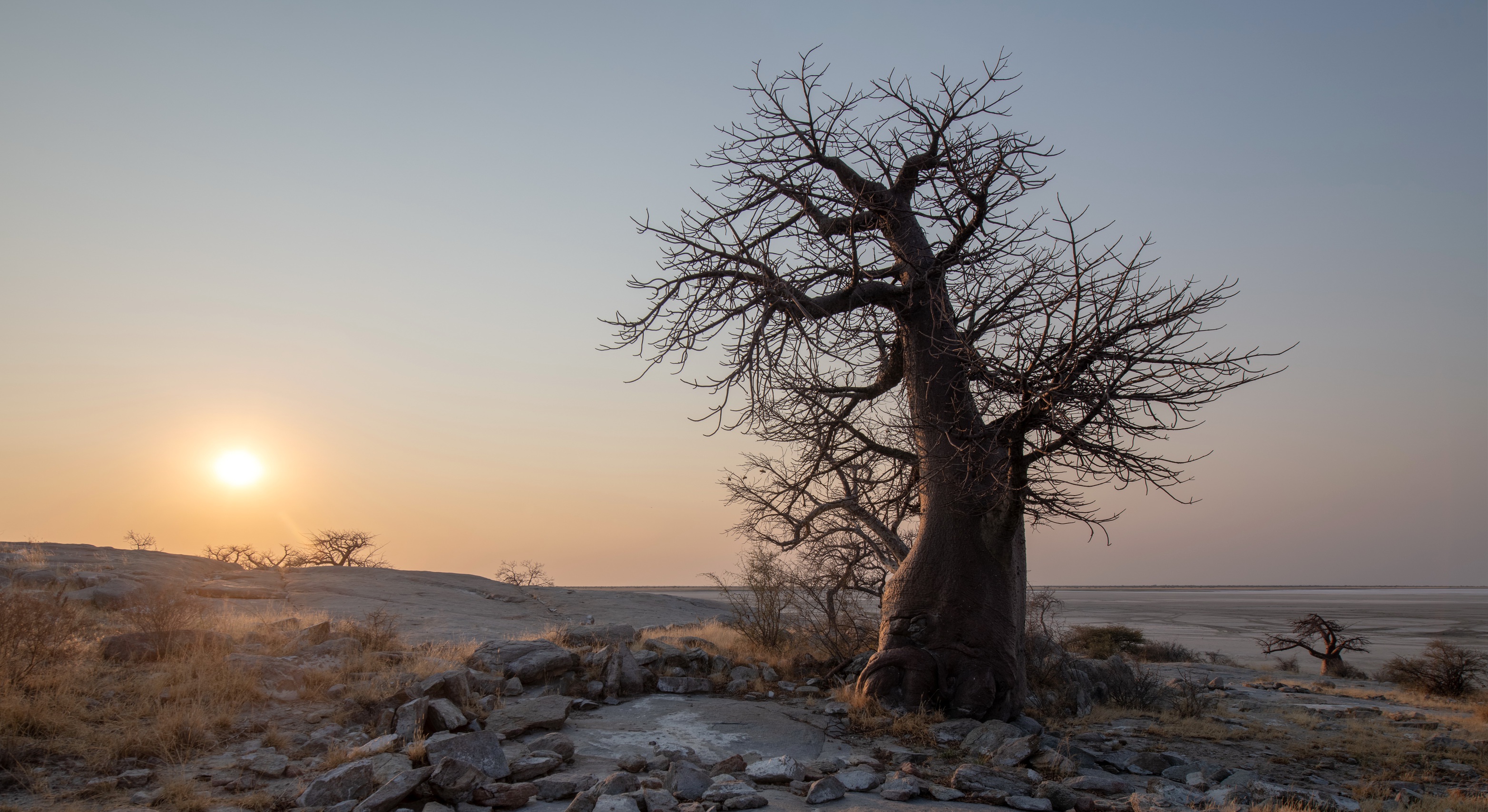 General 3128x1707 Botswana nature outdoors landscape trees sunset