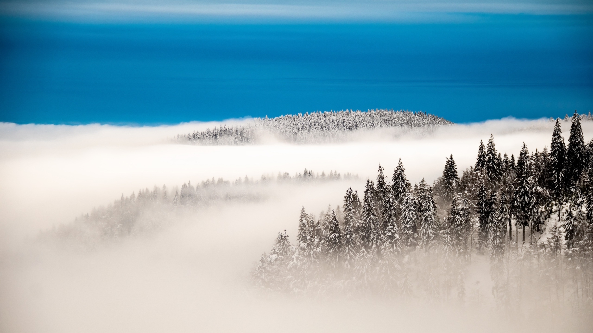 General 1920x1080 landscape winter snow nature trees pine trees mist sky