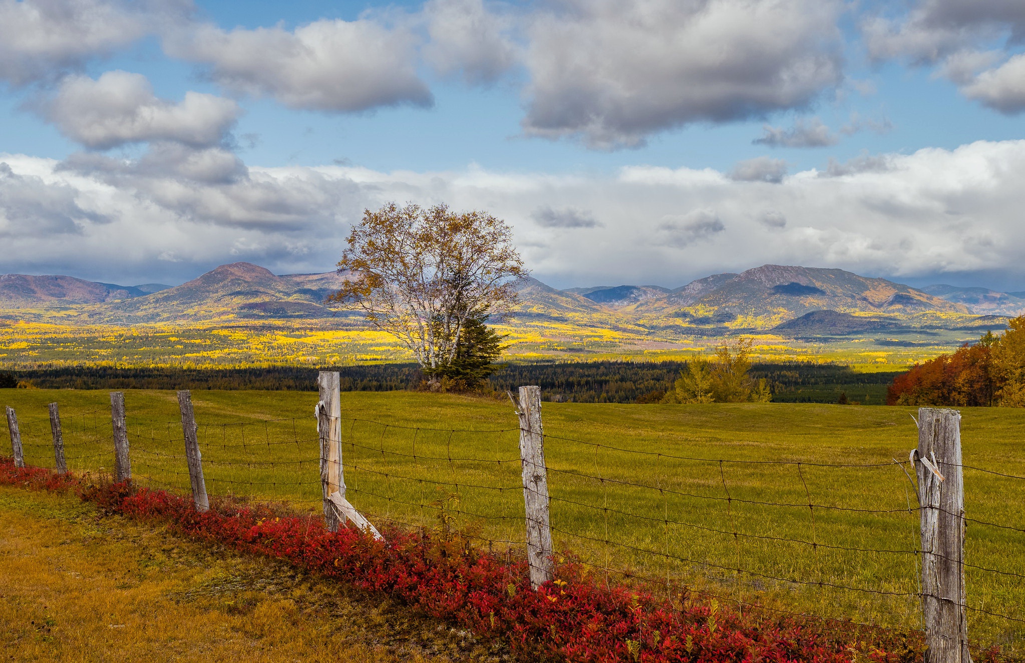 General 2047x1324 fence landscape sky outdoors Canada fall plants
