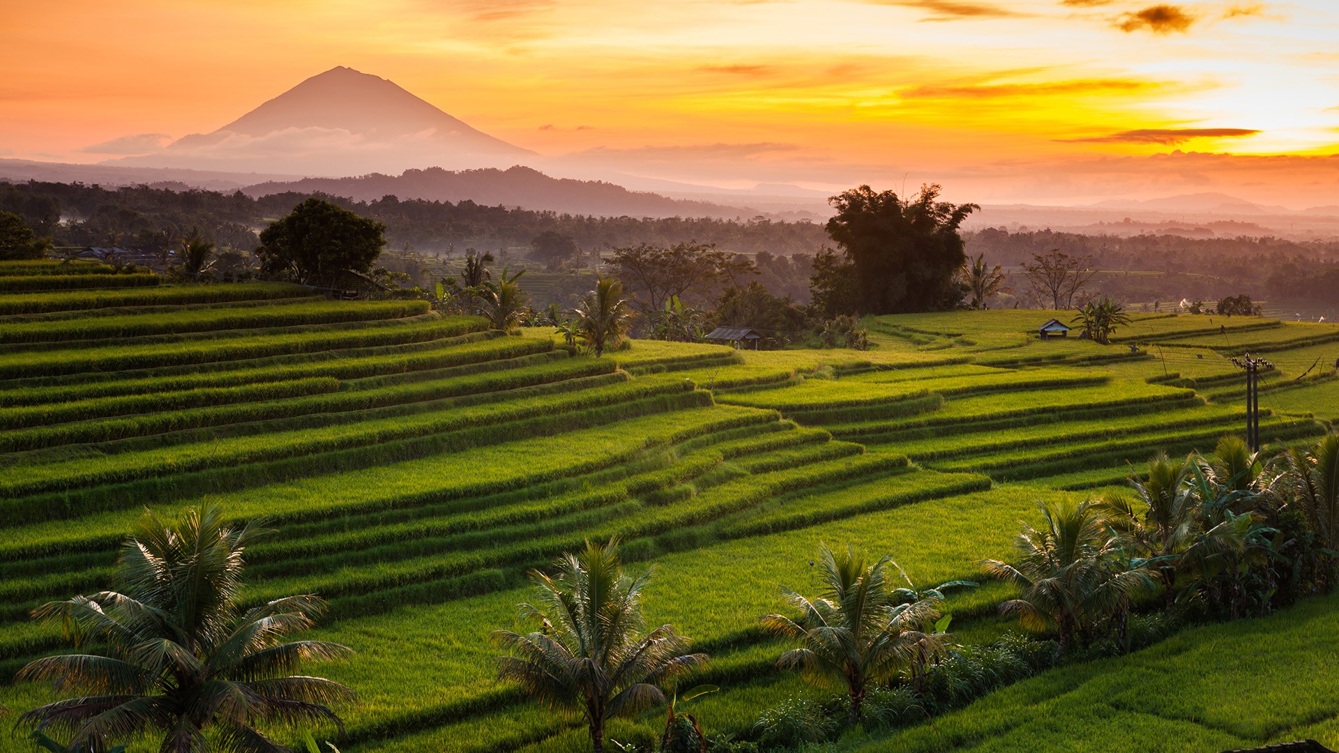 General 1920x1080 nature landscape mountains trees field sky sunset clouds far view rice terrace Bali Indonesia