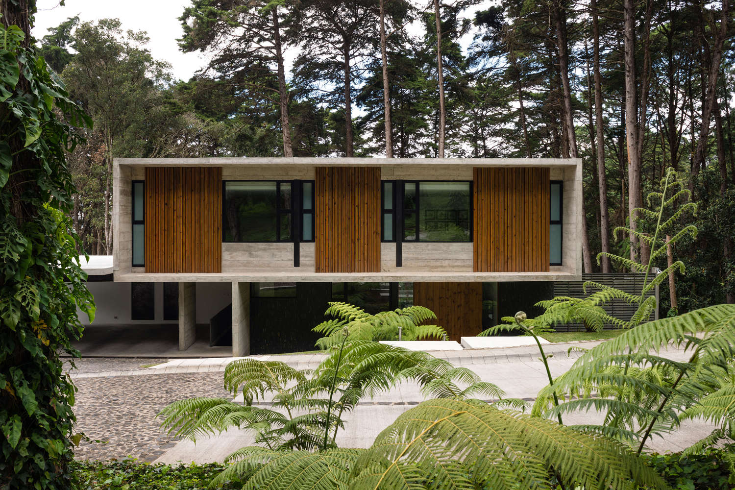 General 1500x1000 house architecture modern forest mansions