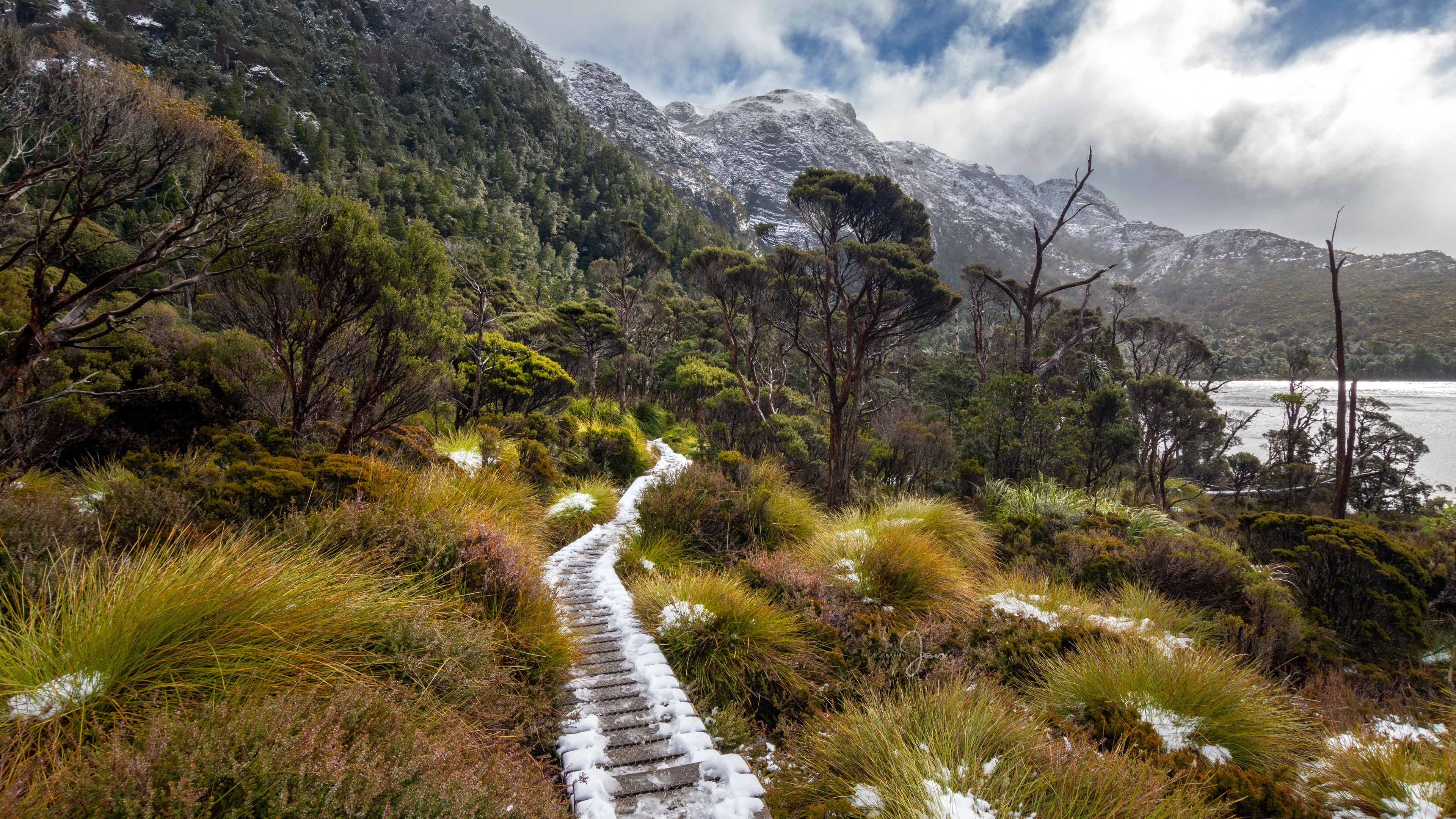General 3840x2160 nature outdoors landscape plants Tasmania snow snowy peak