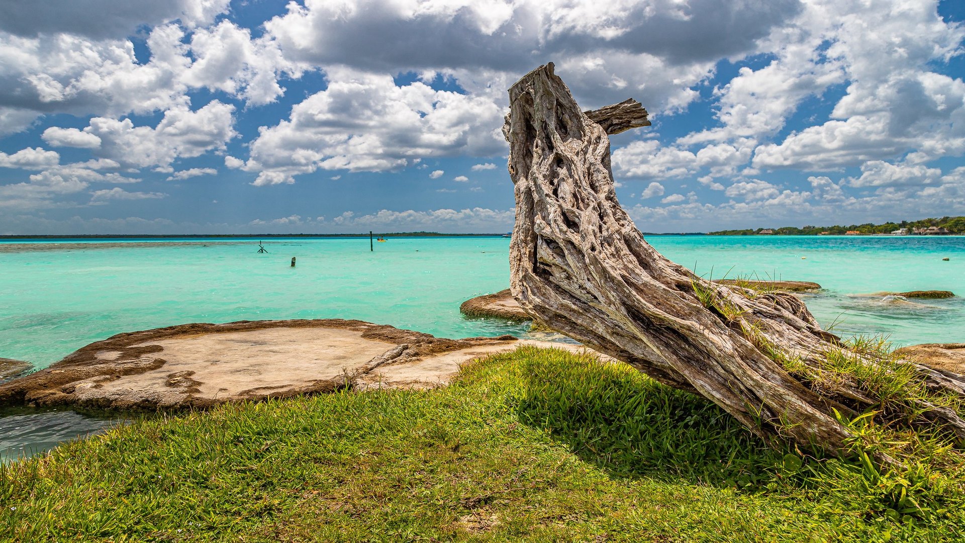 General 1920x1080 landscape nature sky lake grass clouds Bacalar Mexico tree trunk