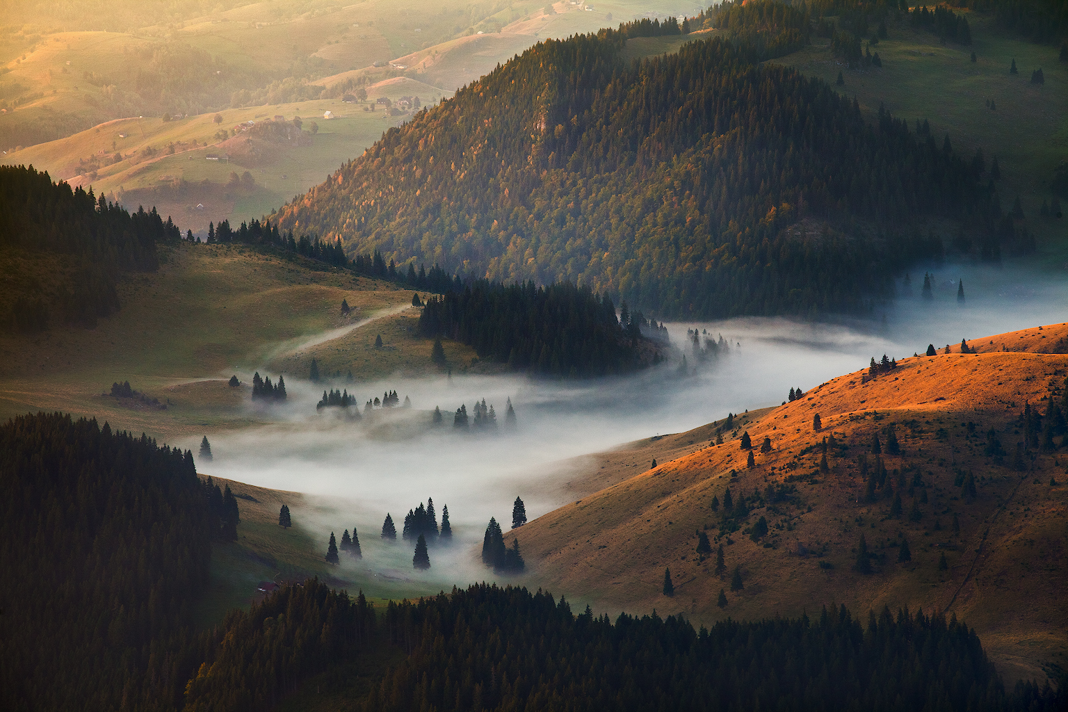 General 1536x1024 nature landscape mountains valley mist trees forest hills pine trees Romania fall