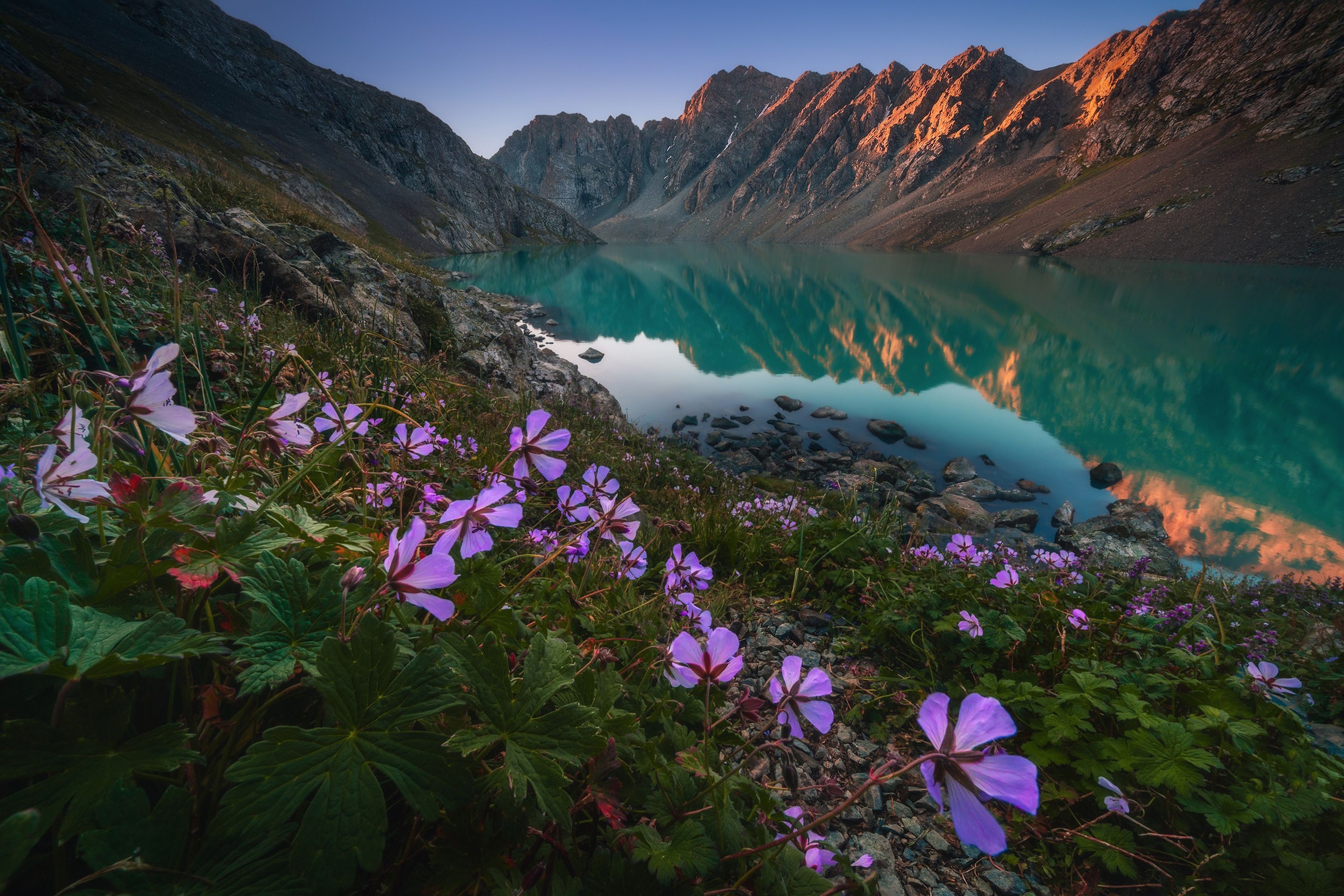 General 2880x1920 lake mountains flowers nature plants reflection water Kyrgyzstan
