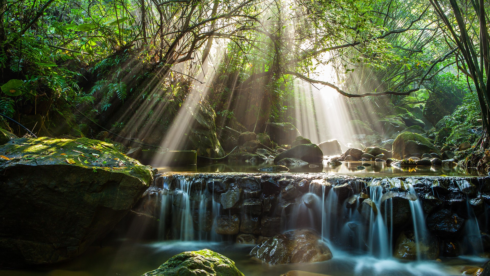 General 1920x1080 nature landscape forest bamboo rocks water long exposure leaves sun rays Taipei Taiwan
