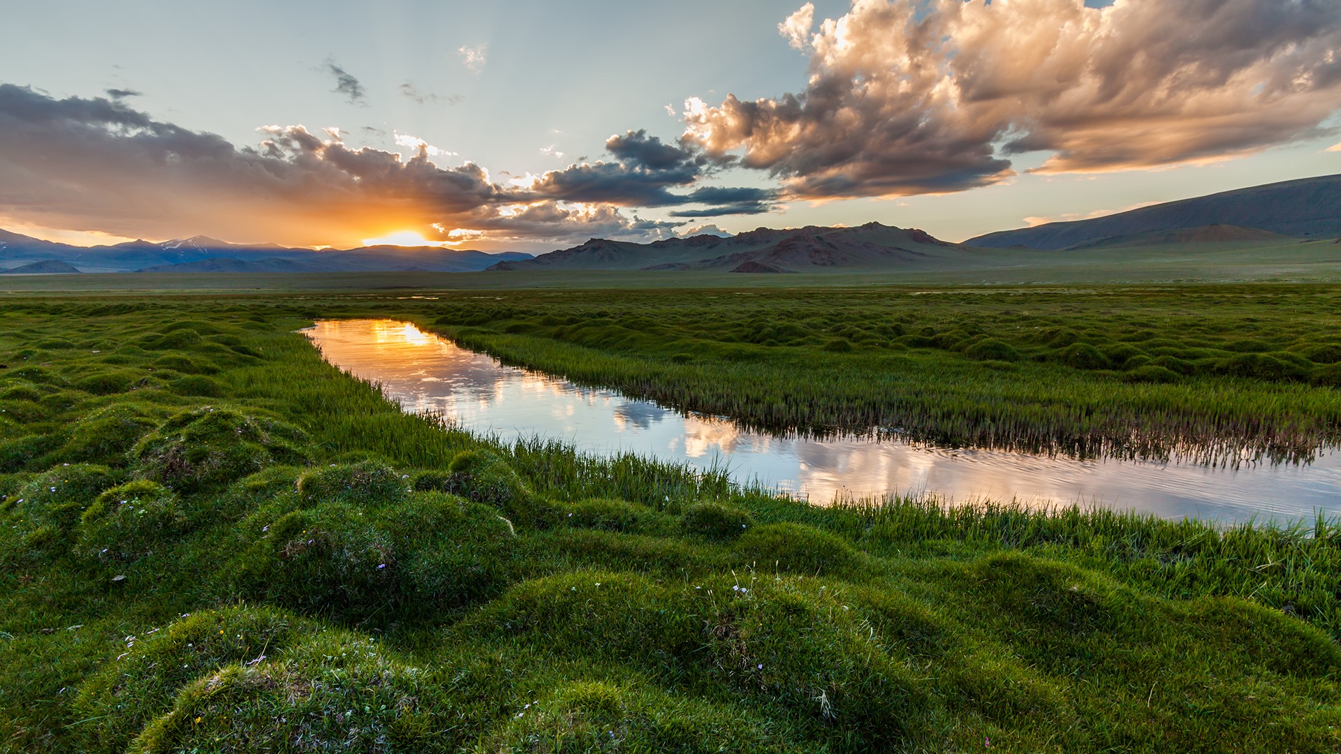 General 1920x1080 nature landscape plants moss clouds sky river mountains sunset field grass Iceland wetland