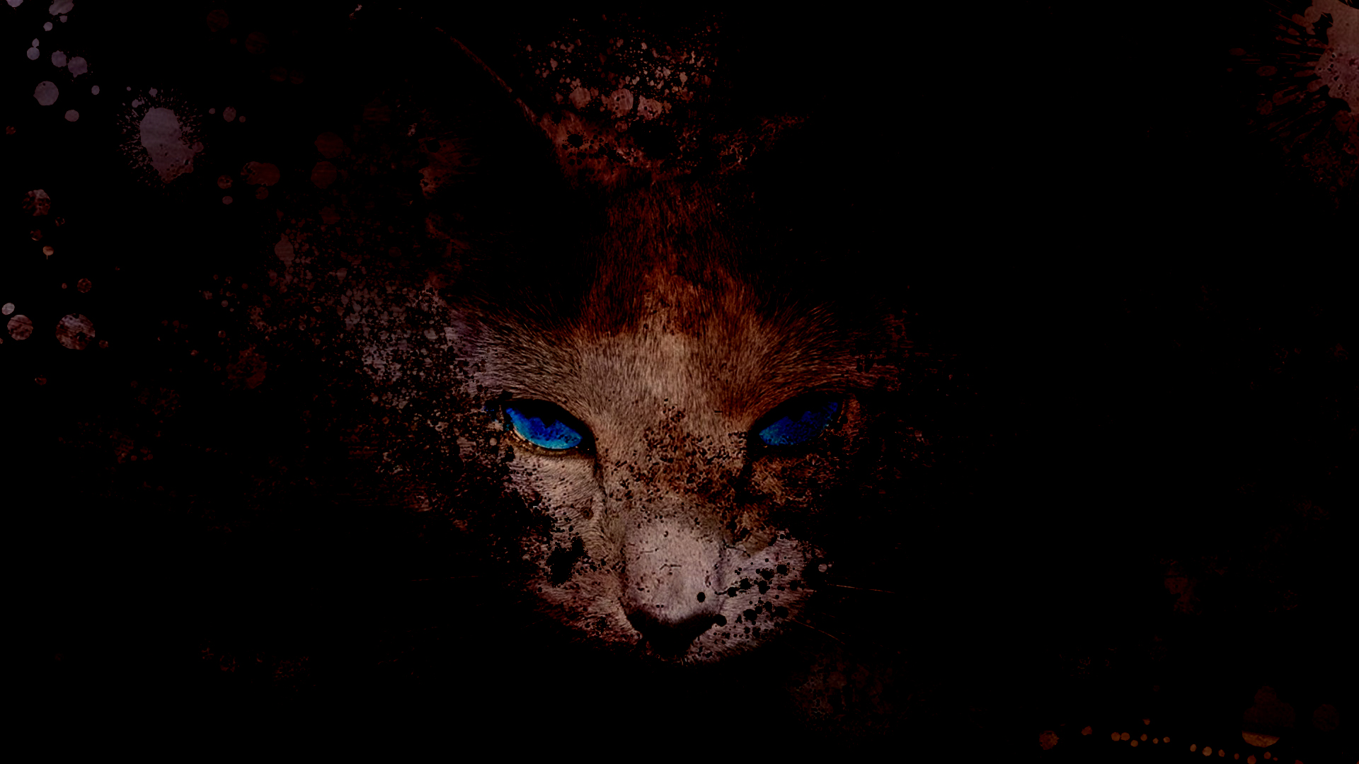 General 1920x1080 cat eyes cat ears ash fire red eyes animals animal eyes animal ears