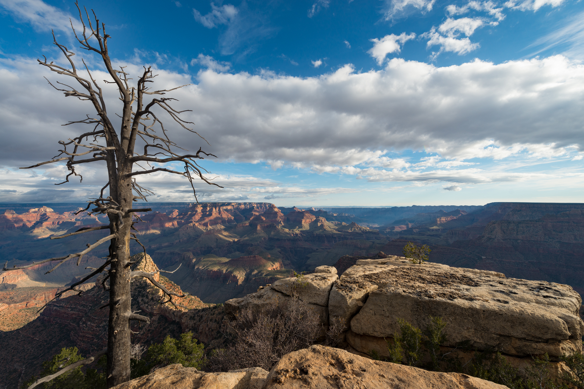 General 1920x1281 landscape rocks sky trees clouds nature canyon Grand Canyon