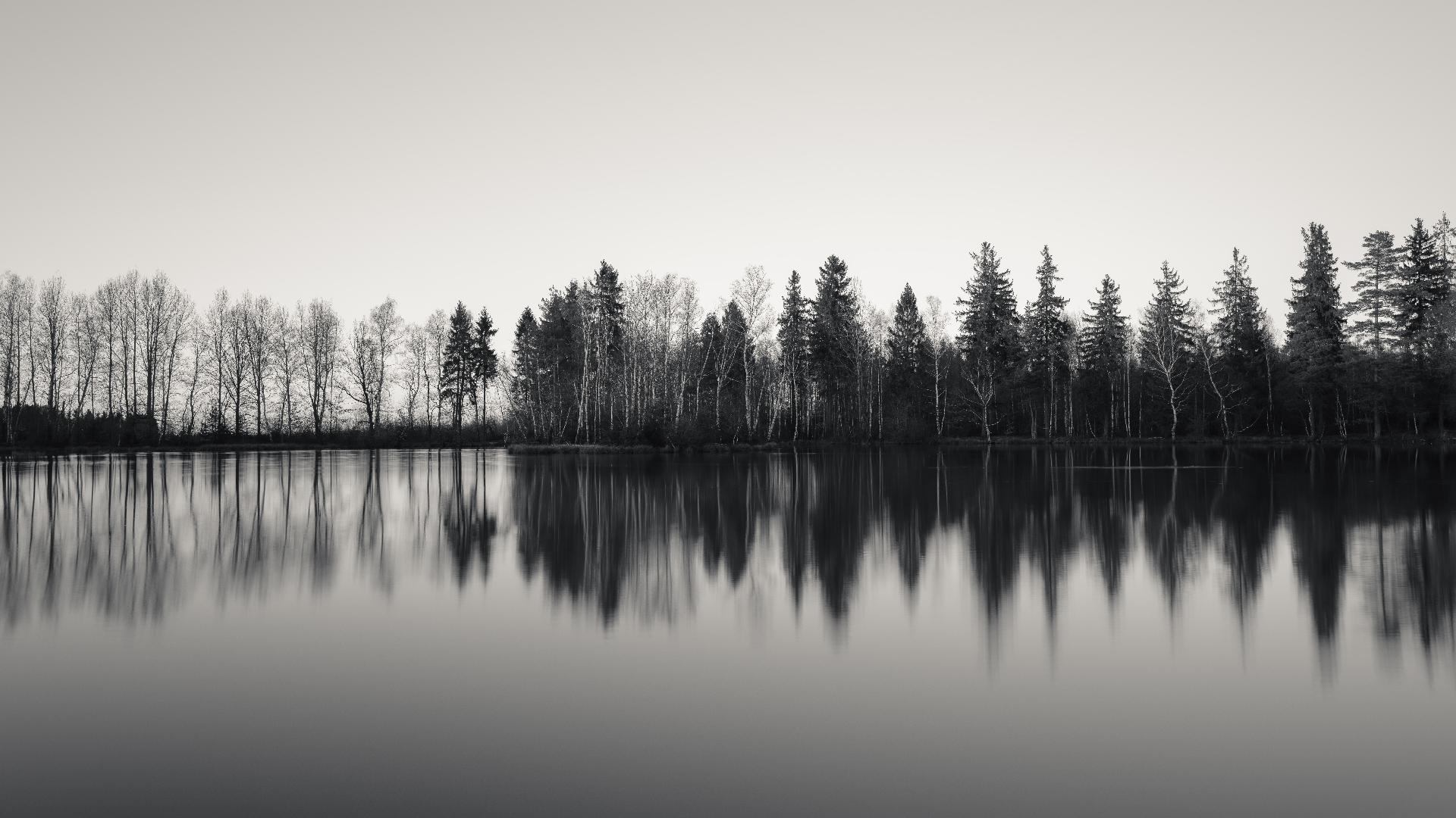General 1920x1080 nature landscape trees water sky monochrome Germany lake