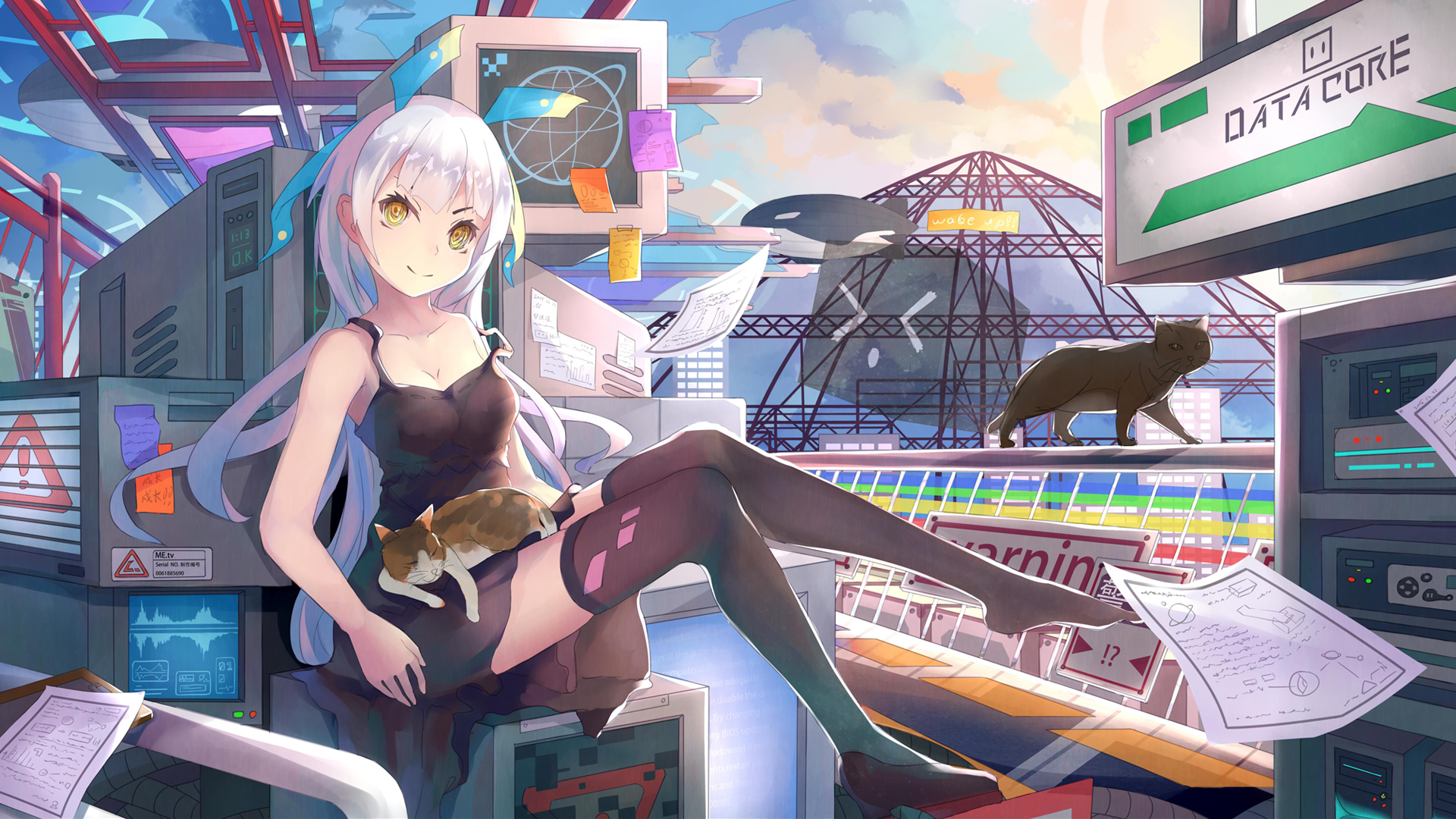 Anime 1920x1080 anime anime girls long hair original characters computer thigh-highs cats stockings animals mammals yellow eyes legs thighs together black clothing white hair