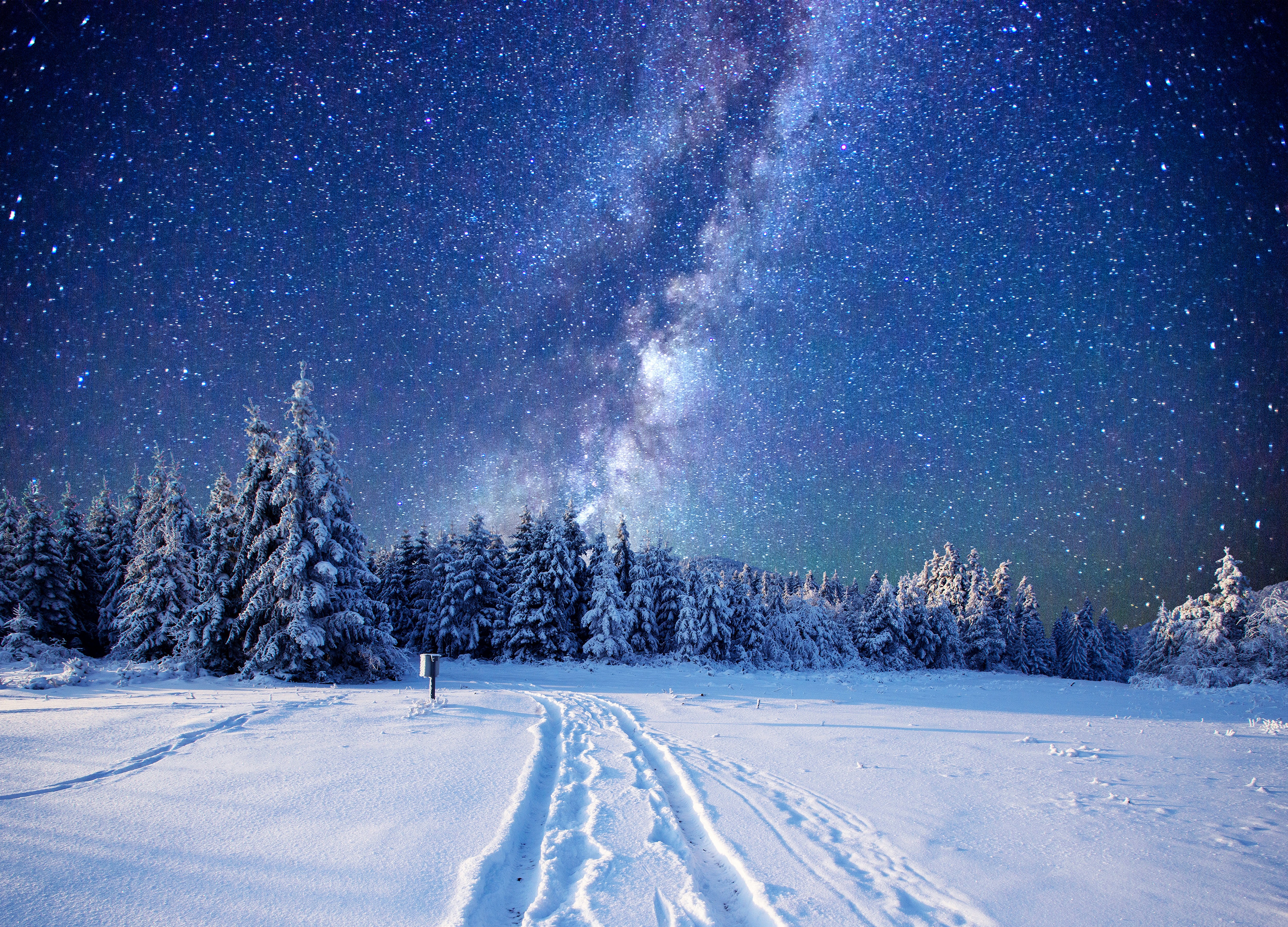 General 5000x3600 pine trees snow landscape stars winter starred sky forest nordic landscapes sky ice cold outdoors trees
