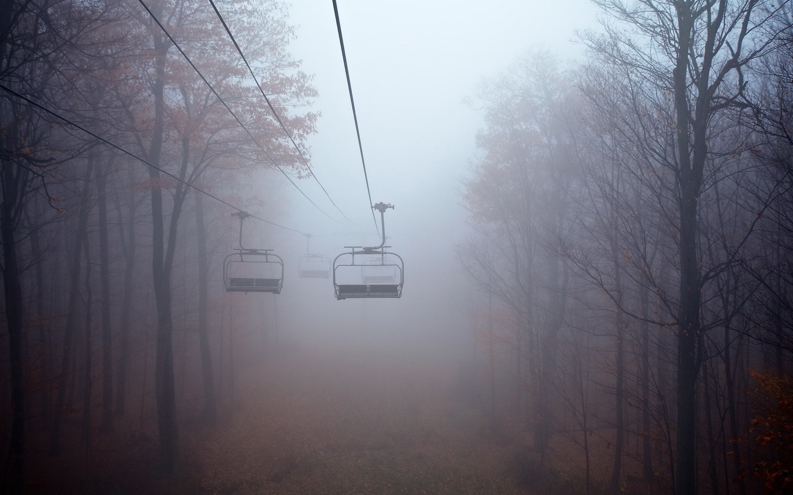 General 2560x1600 trees fall ropes mist ski lift