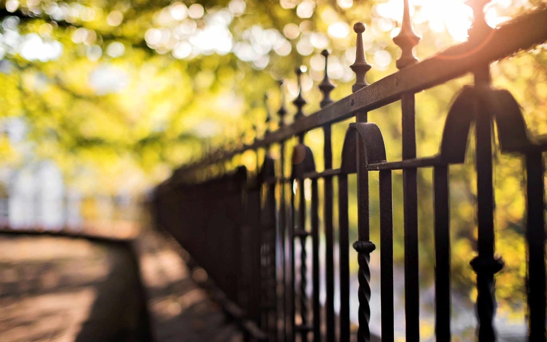 General 1920x1200 photography macro sunlight fence leaves blurred bokeh lights