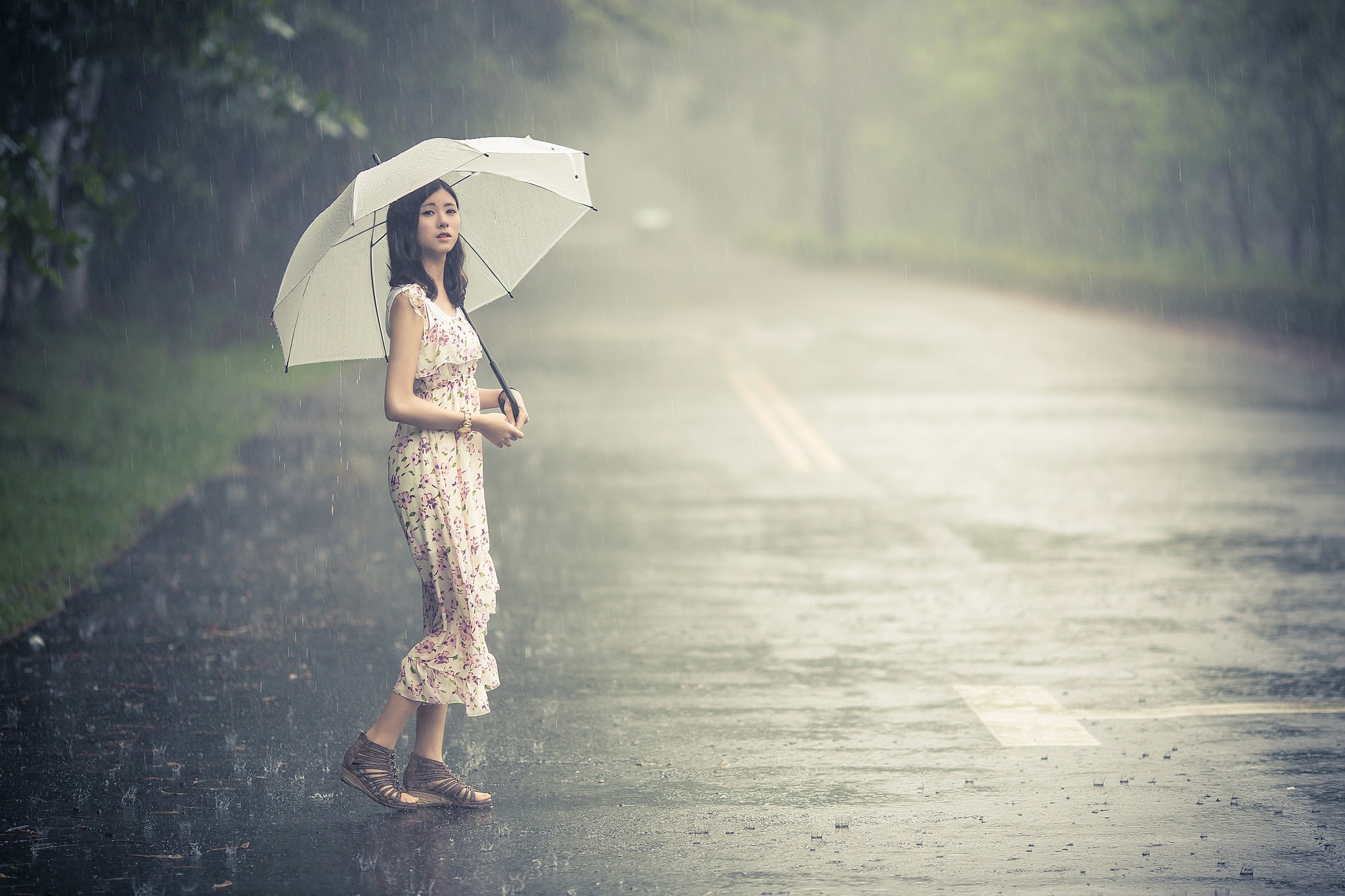 People 2048x1365 umbrella rain road dress women outdoors women women with umbrella white dress looking at viewer standing long hair asphalt