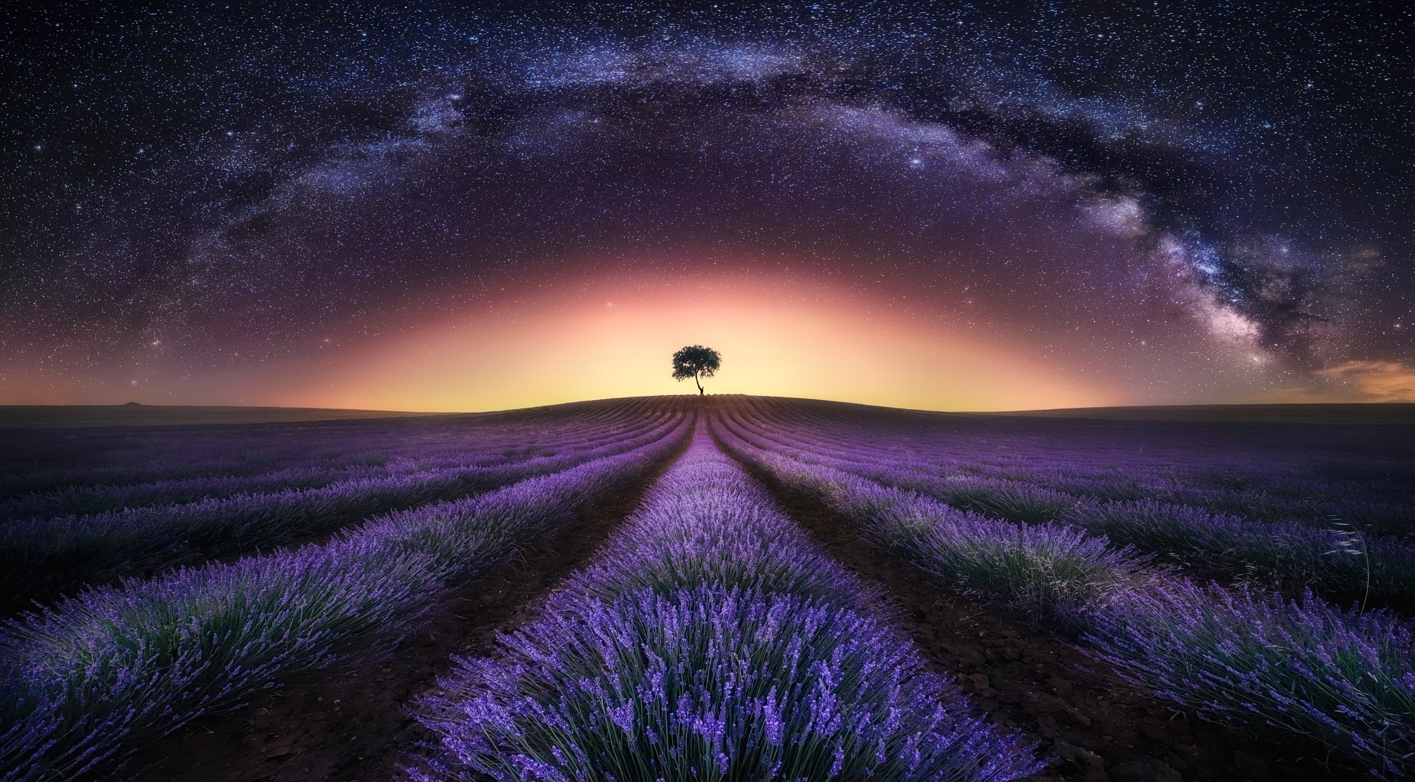 General 2048x1132 landscape stars nature long exposure trees lavender Milky Way field sky space plants Agro (Plants)