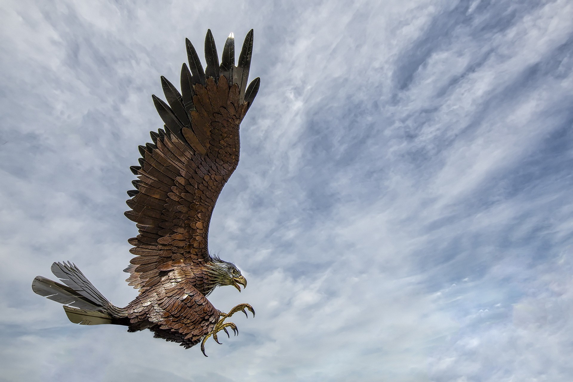 General 1920x1280 eagle clouds animals birds wings sky digital art