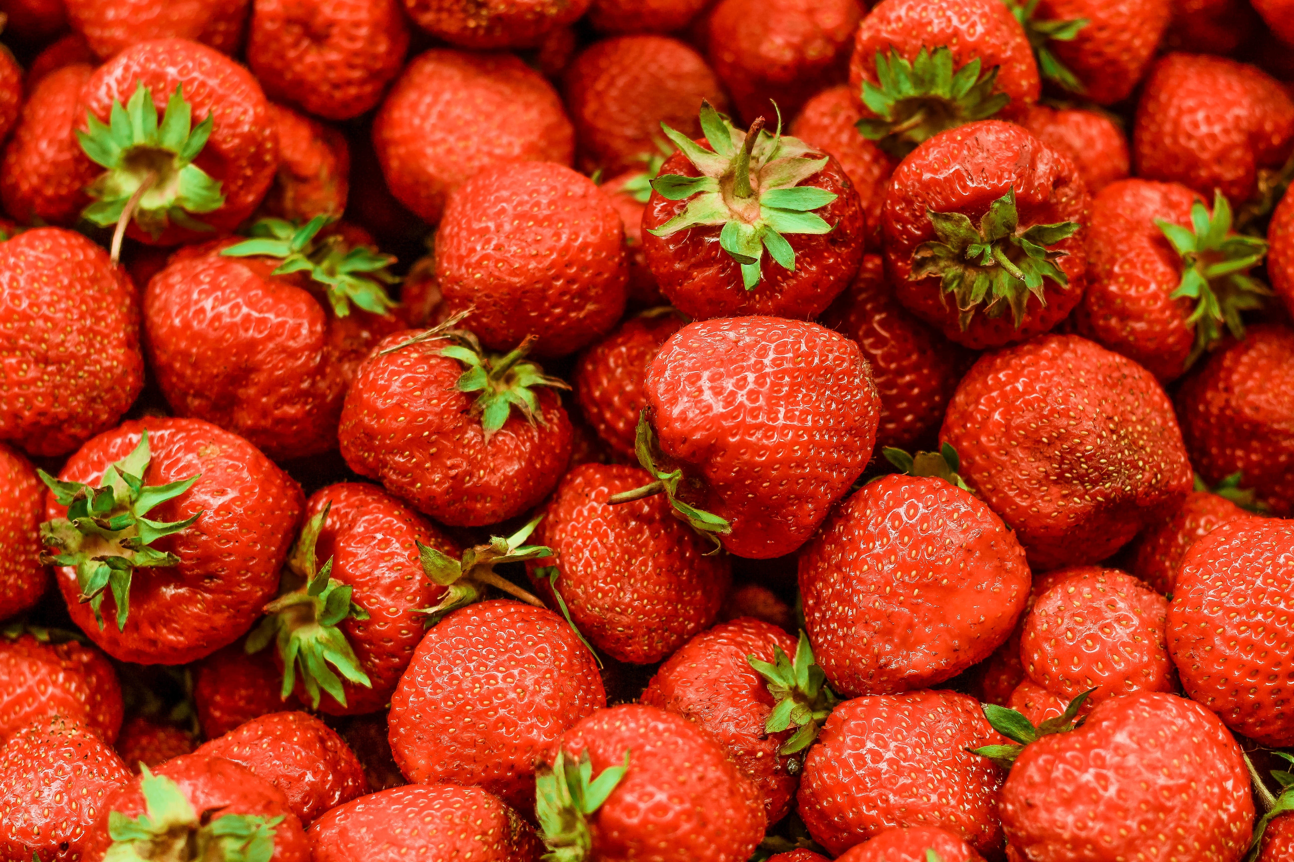 General 5184x3456 nature fruit food berries closeup macro strawberries