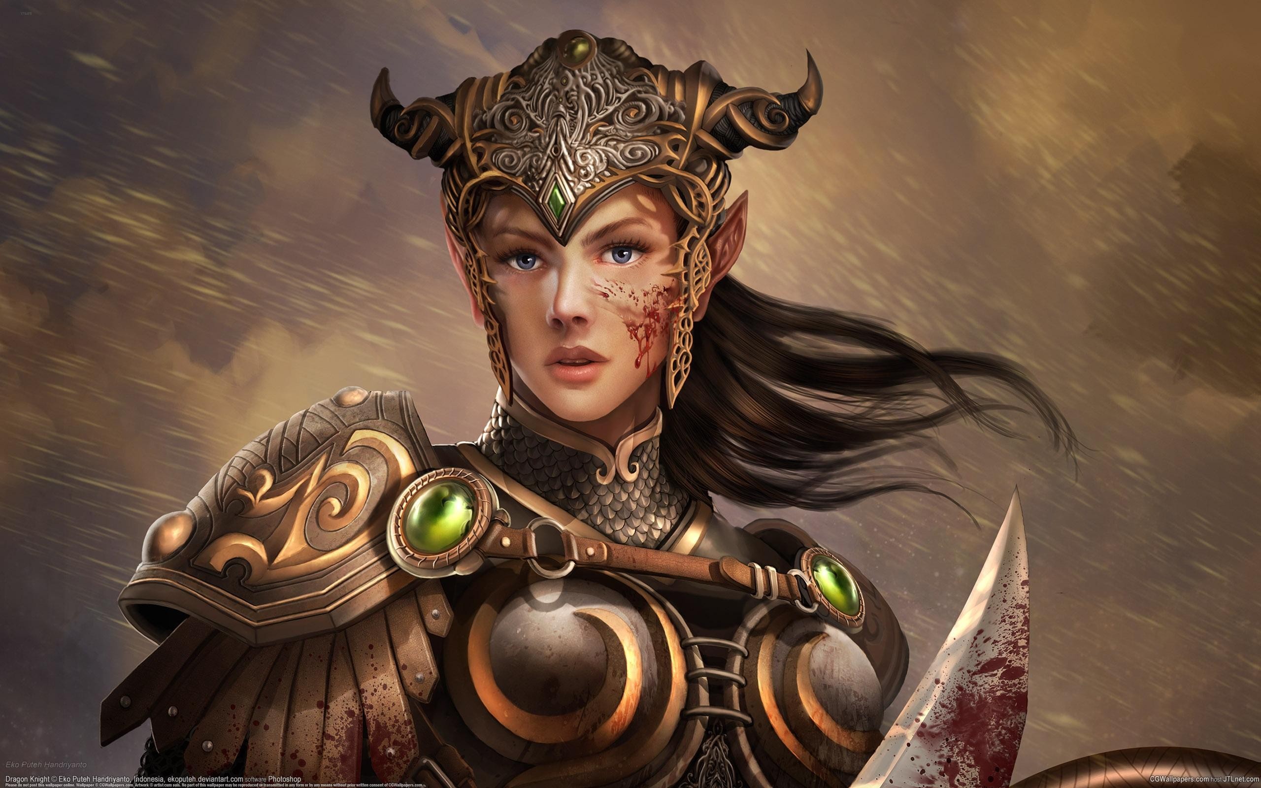 General 2560x1600 fantasy art fantasy girl warrior blood women pointy ears armor fantasy armor brunette digital art face looking at viewer
