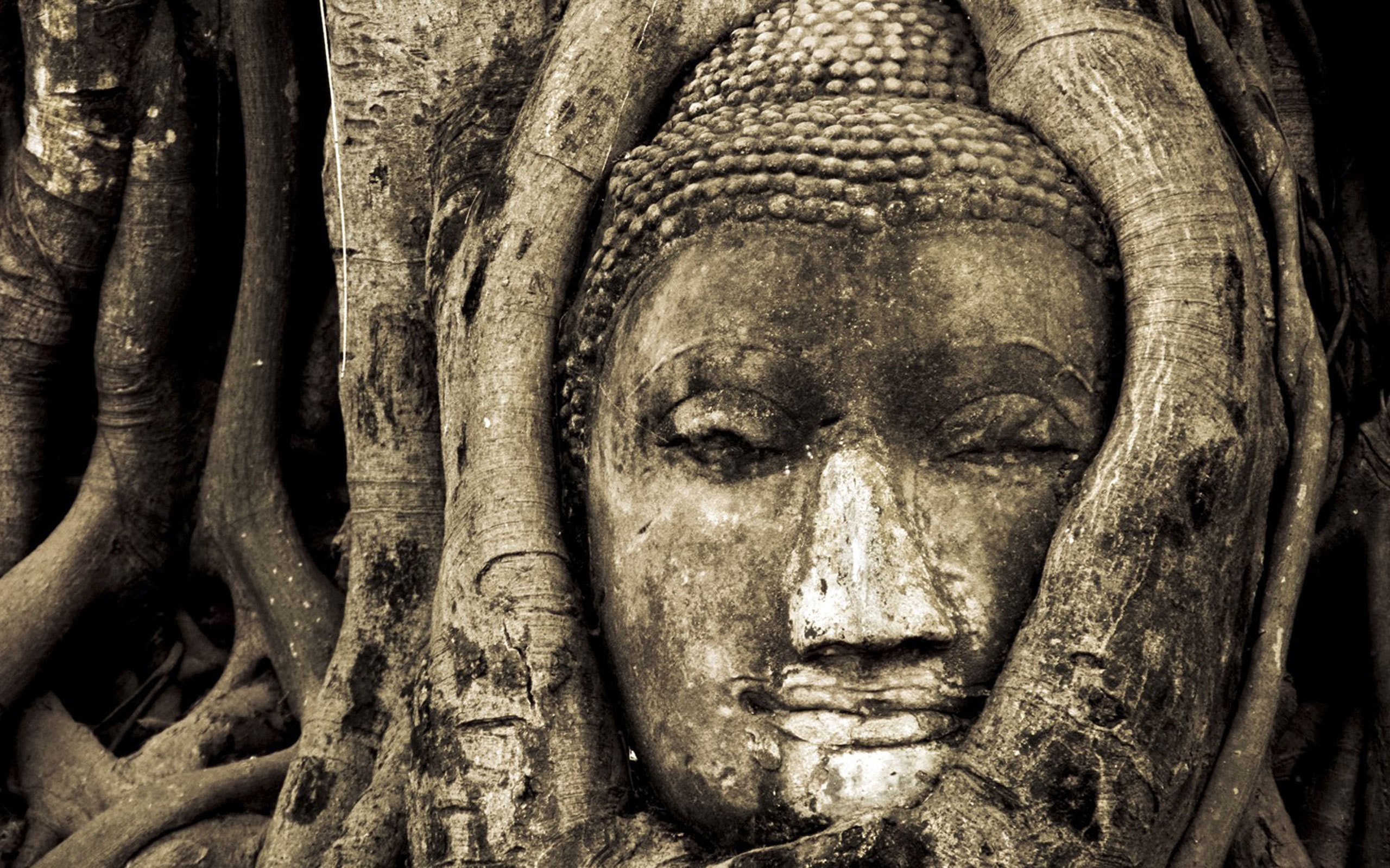 General 2560x1600 nature trees branch Buddha Buddhism Thailand monochrome sepia sculpture National Geographic religious