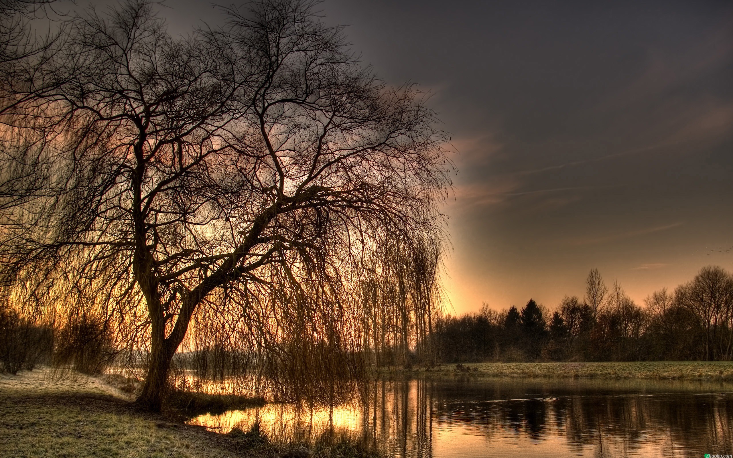 General 2560x1600 landscape photography nature trees water outdoors