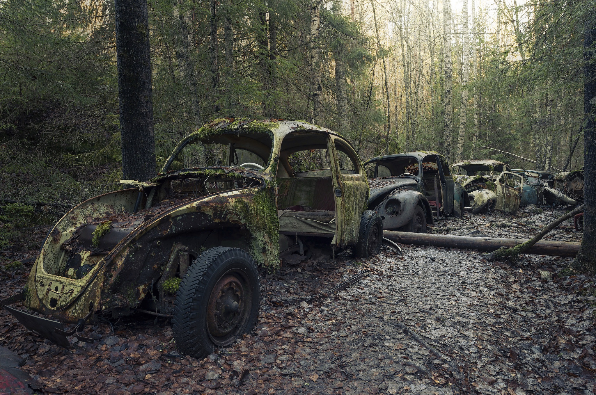 General 2048x1358 car vehicle old wreck Volkswagen Beetle junkyard