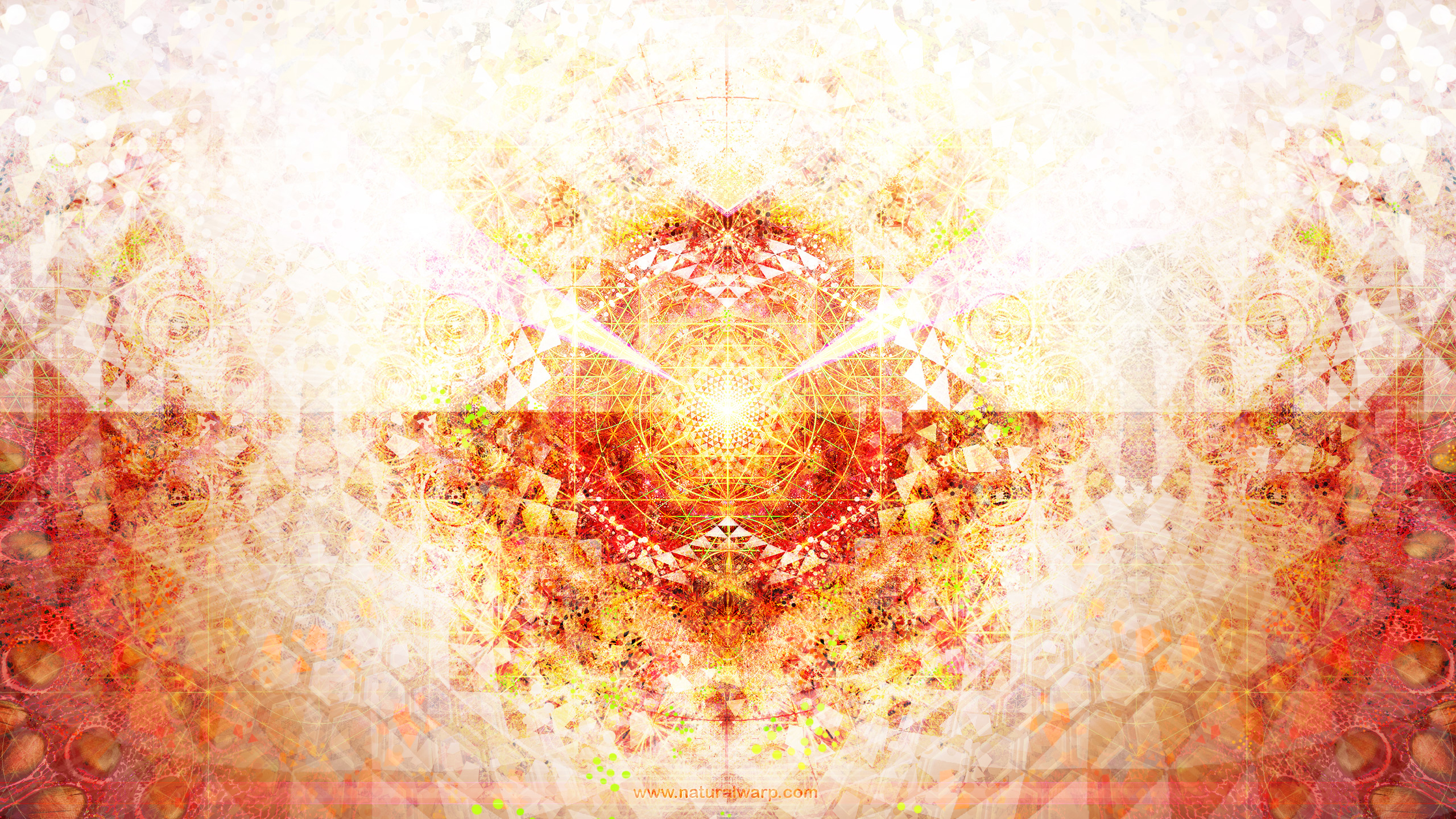 General 2560x1440 psychedelic digital art fractal