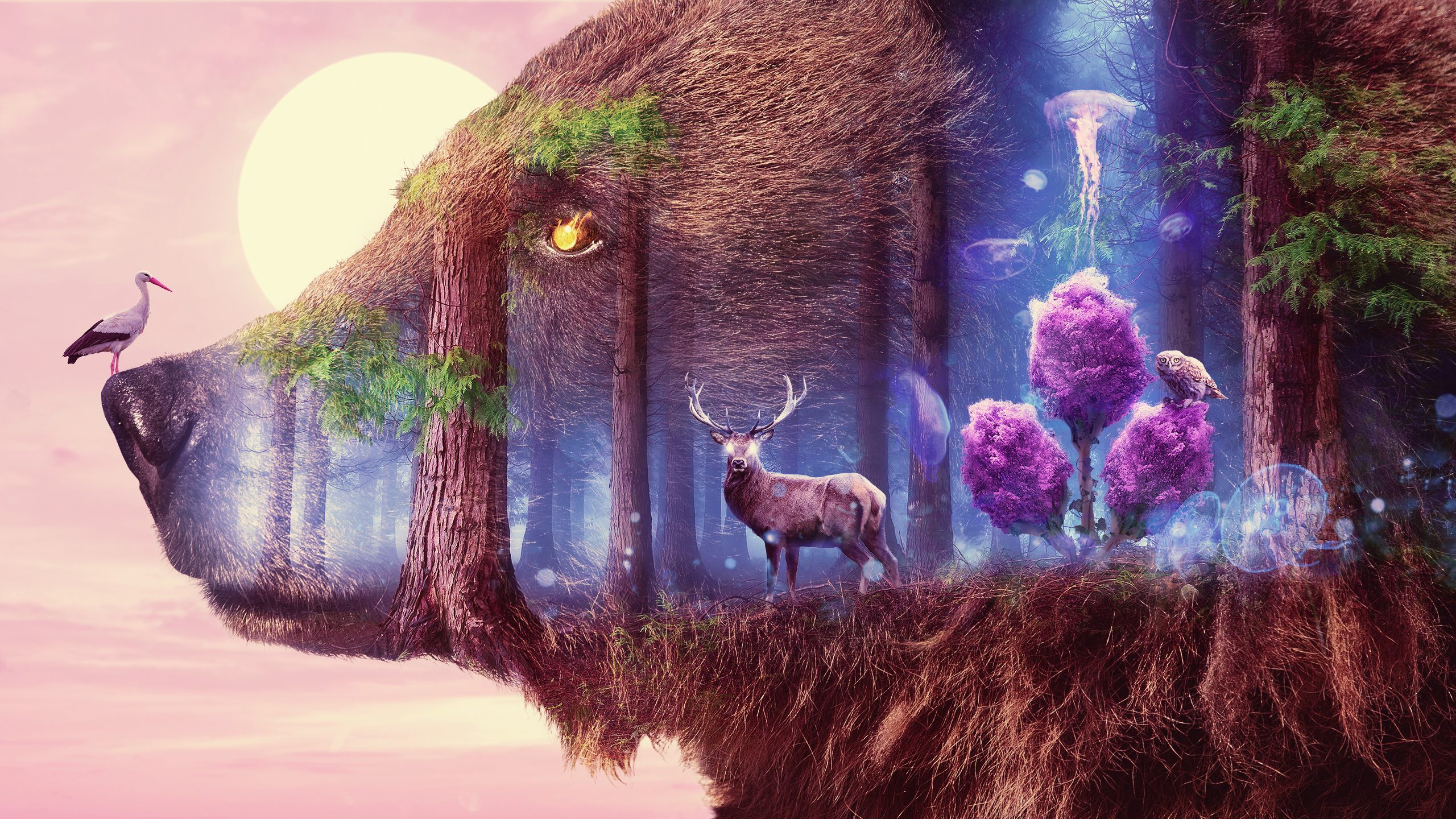 General 2560x1440 abstract grizzly bear deer forest Medusa owl stork
