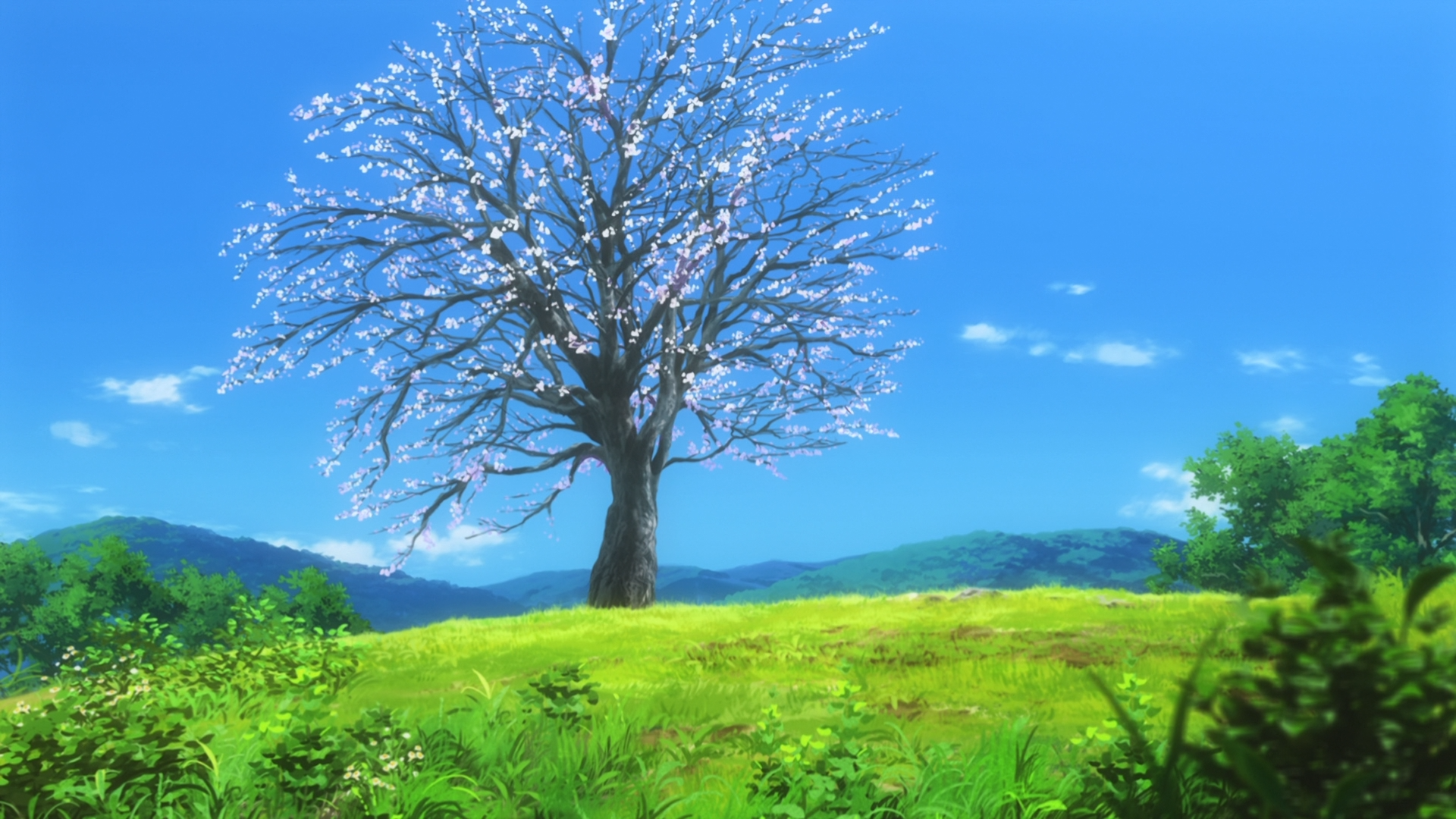 Anime 1920x1080 Non Non Biyori landscape trees sky clouds grass
