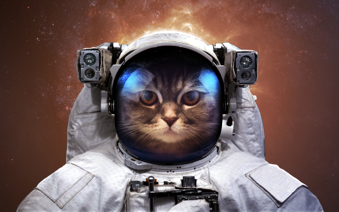 General 1366x855 astronaut cats space humor Vadim Sadovski