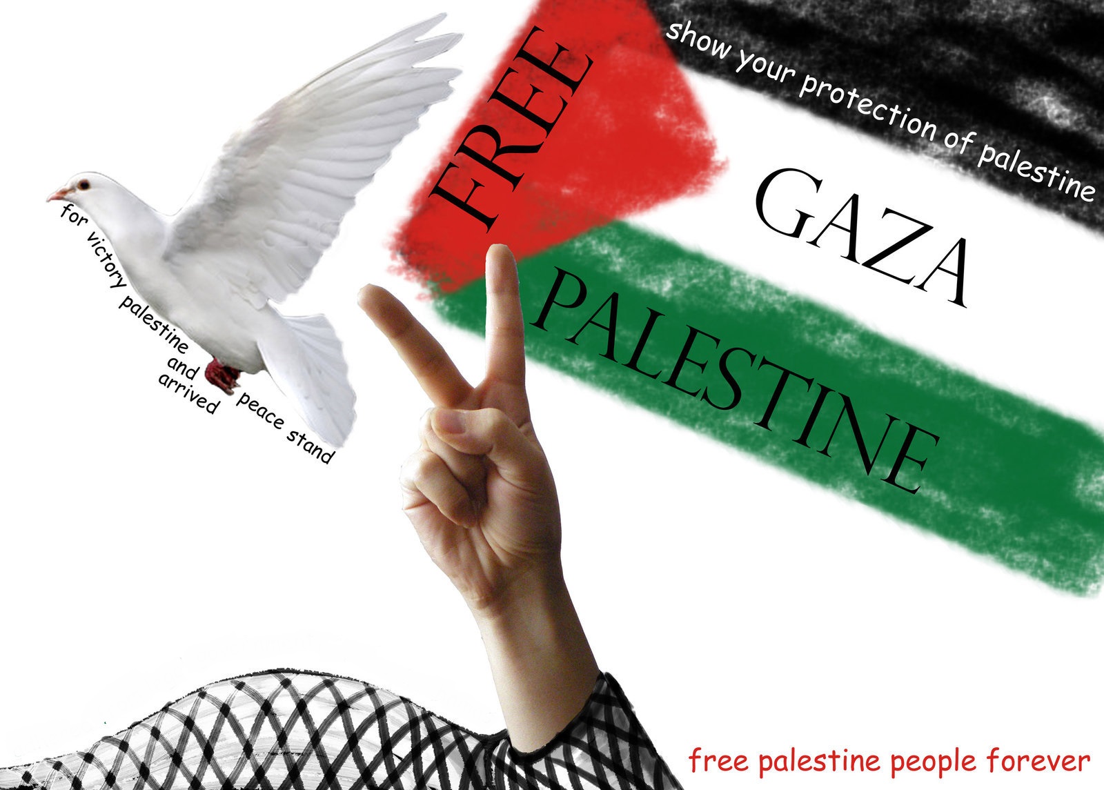 General 1600x1145 Palestine flag dove Gaza hands supporters