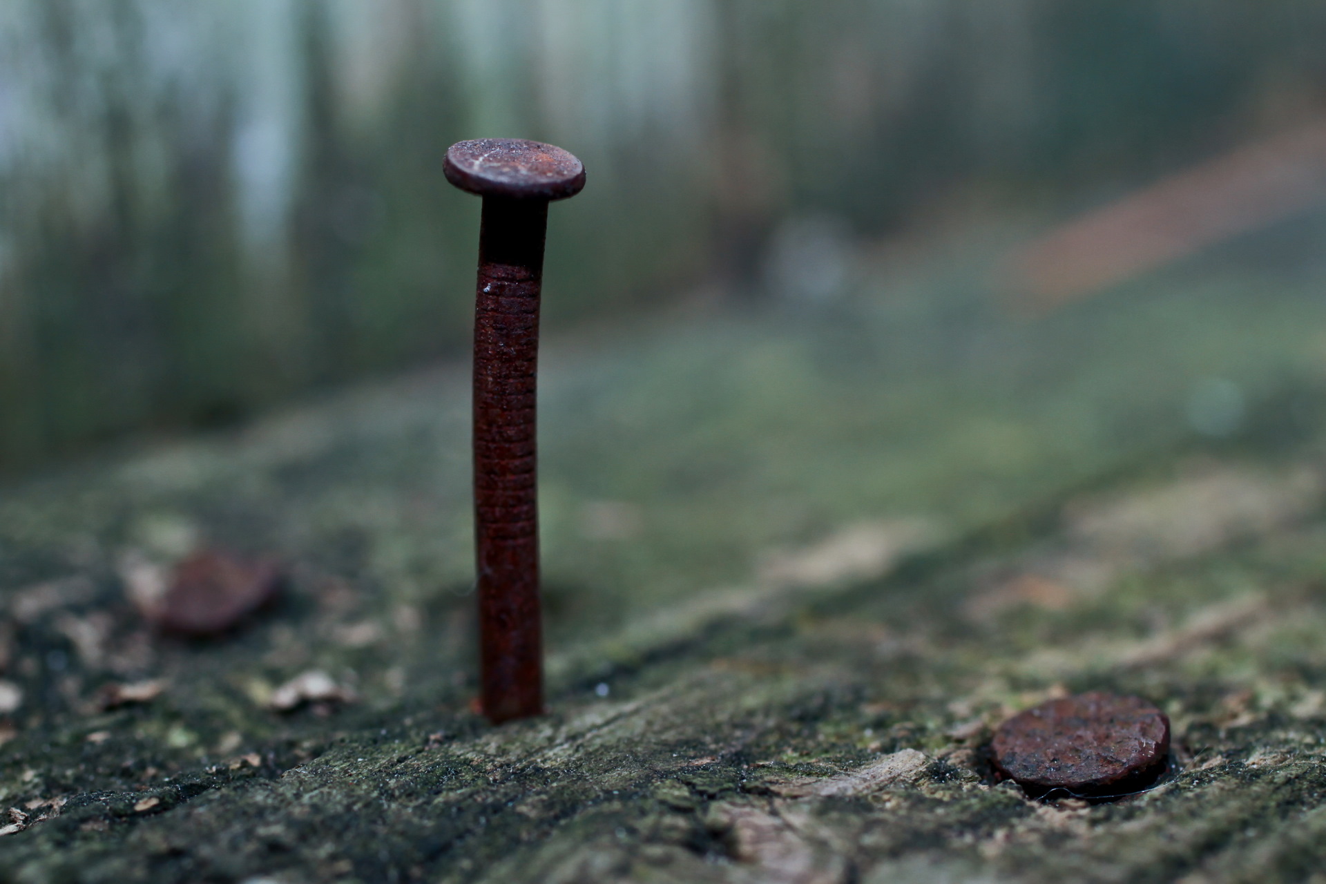 General 1920x1280 macro metal wood old rust nails