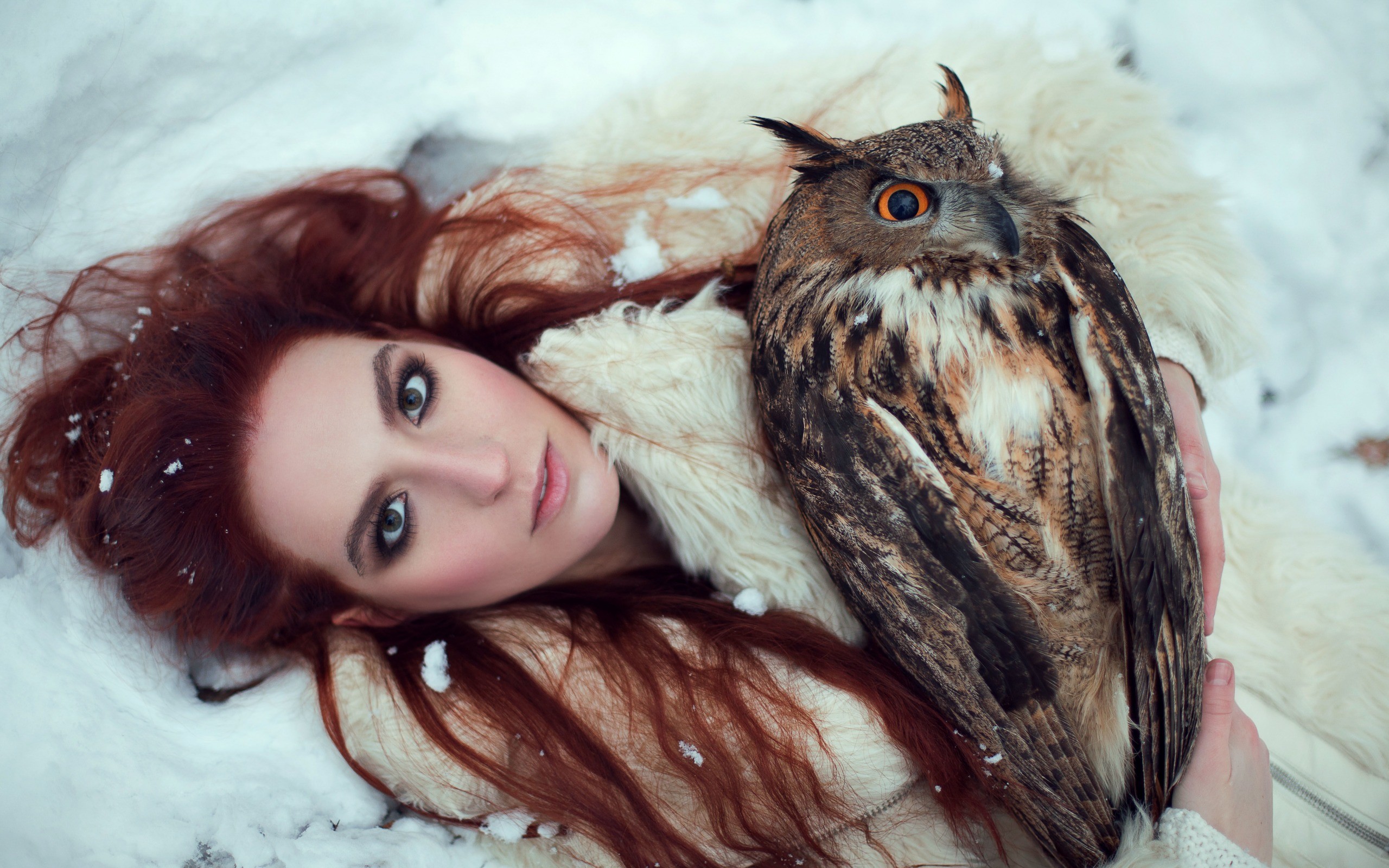 People 2560x1600 women redhead lying on back winter owl animals looking at viewer snow closeup