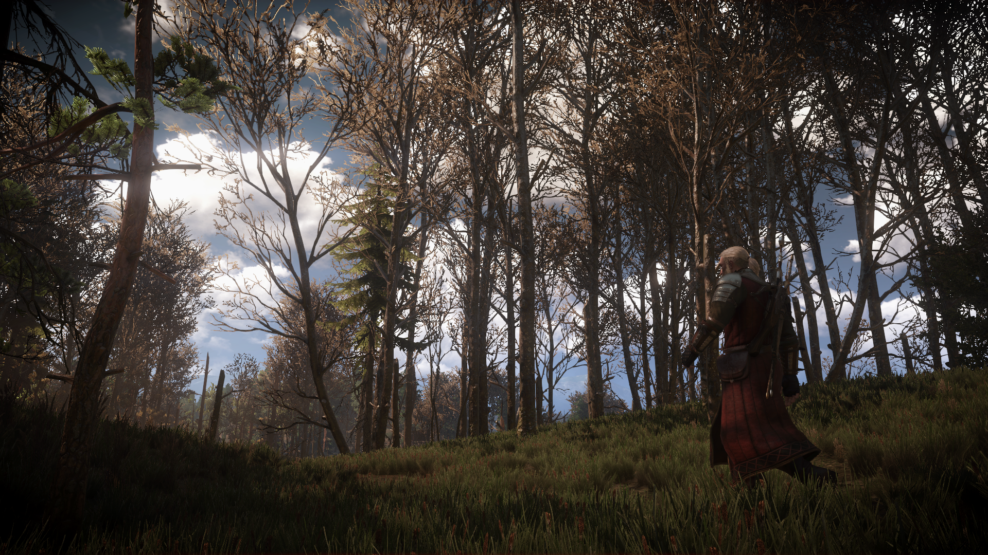 General 1920x1080 The Witcher 3: Wild Hunt video games screen shot RPG PC gaming