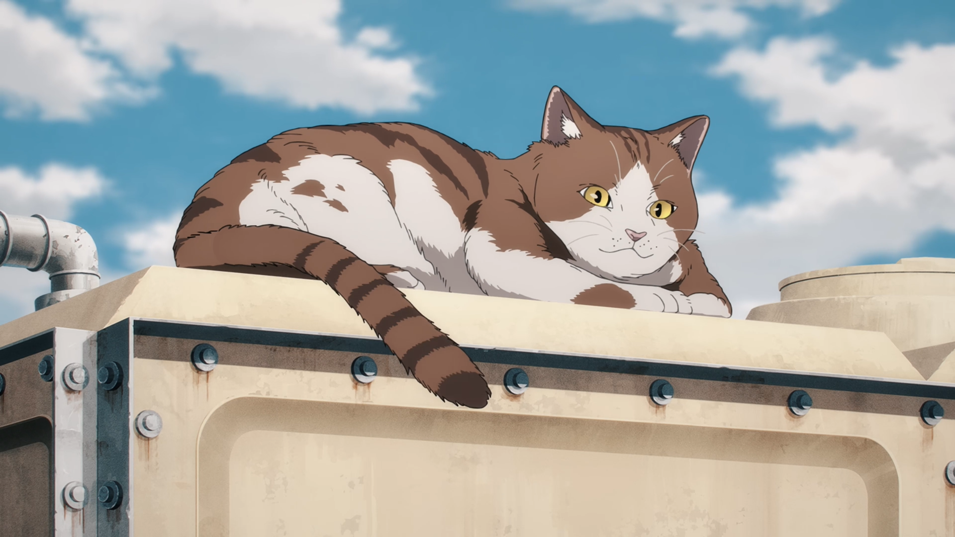 Anime 1920x1080 cats