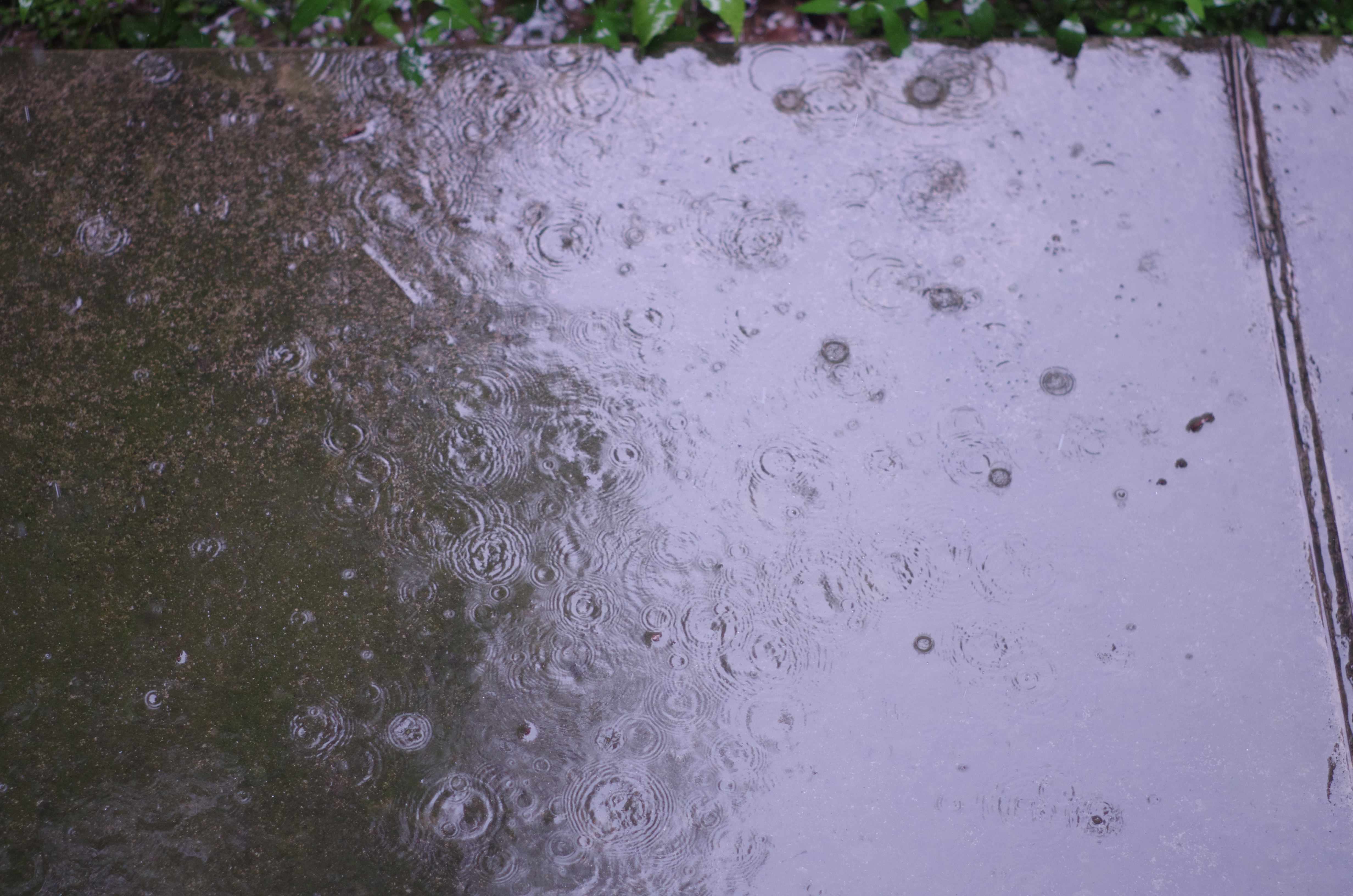 General 4928x3264 rain ground sidewalks water drops