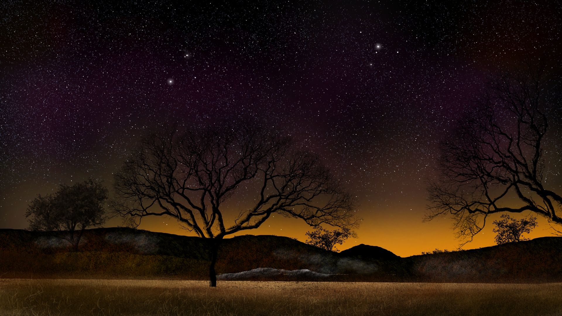 General 1920x1080 digital painting digital art nature landscape starry night twilight stars night trees