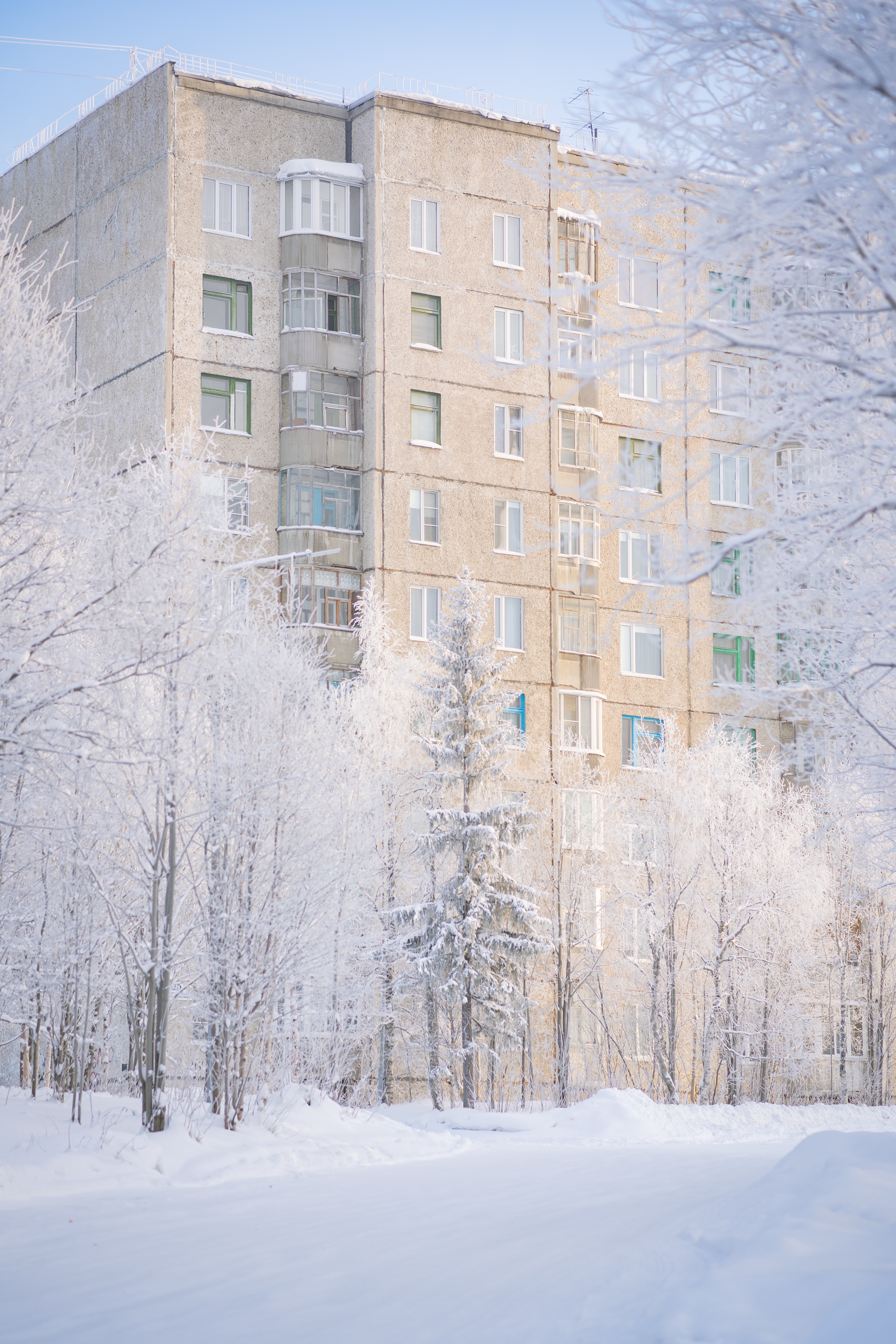 General 3873x5809 snow building block of flats Brutalism winter portrait display trees cold frost