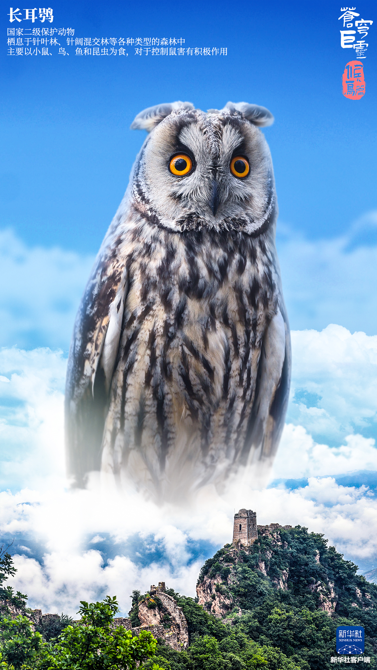 General 1200x2133 wildlife animals nature birds portrait display giant Chinese clouds sky owl
