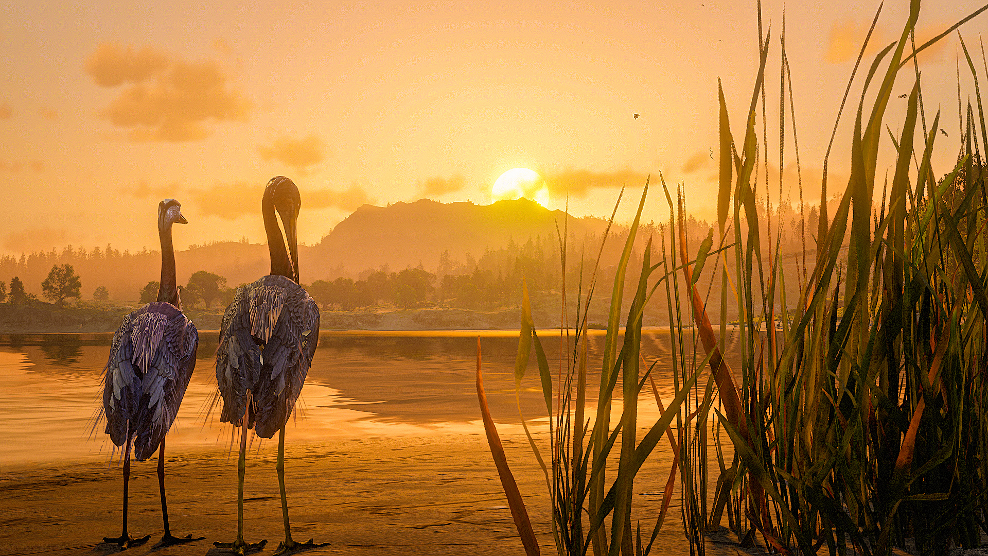 General 1920x1080 Red Dead Redemption 2 video game art video games nature daylight grass water Sky (game) clouds animals sunset sunset glow sky reflection