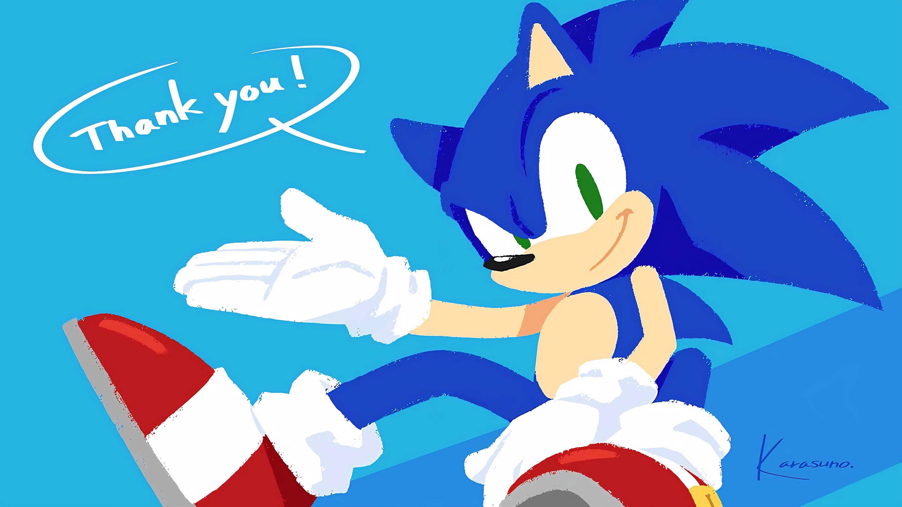 General 3000x1688 Yui Karasuno Anthro Sonic Sonic the Hedgehog Sega video game art video game characters PC gaming simple background blue background artwork video games