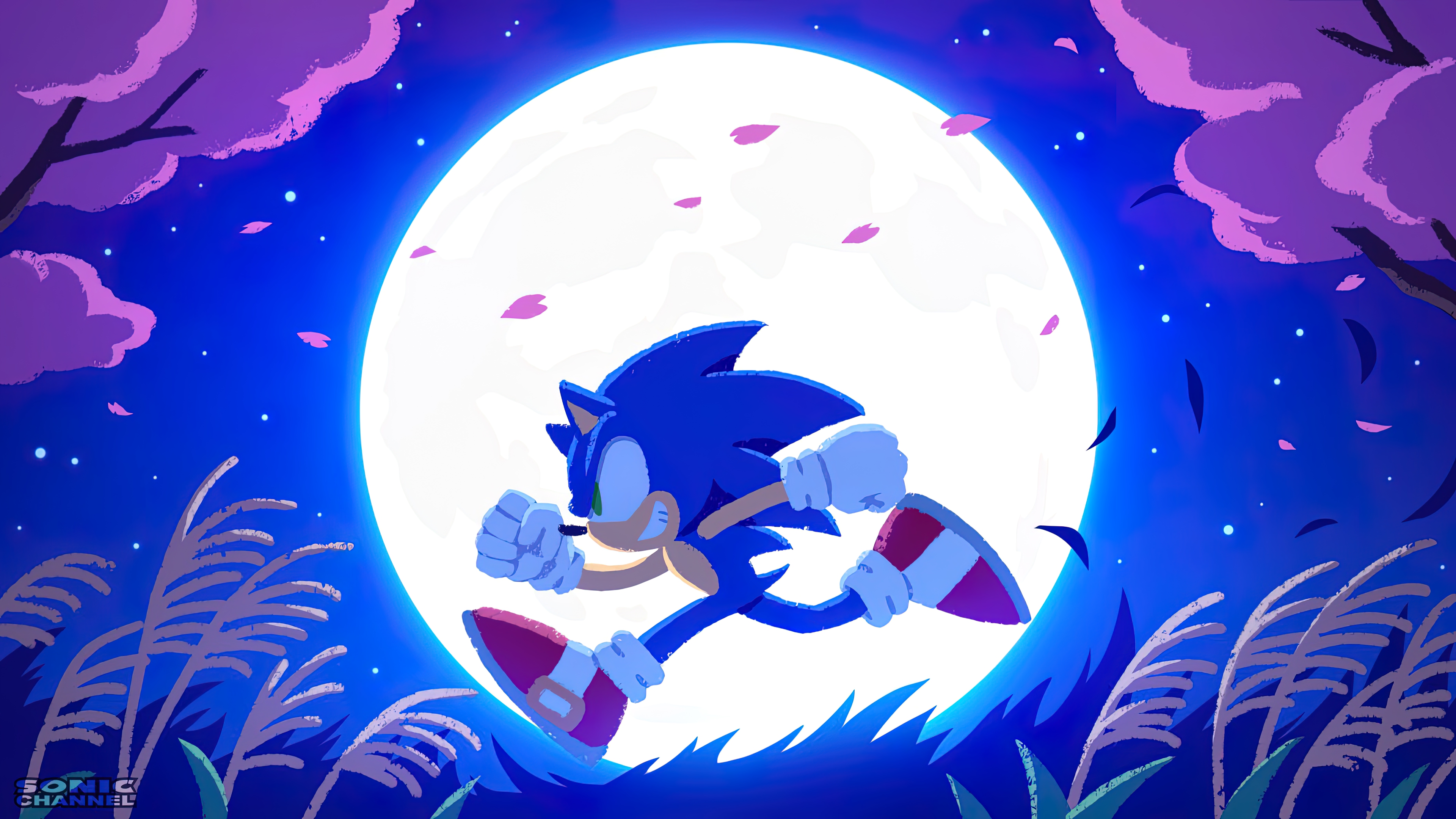 General 3840x2160 Sonic Sonic the Hedgehog Anthro video game art video game characters Sega Yui Karasuno Moon flowers night artwork video games