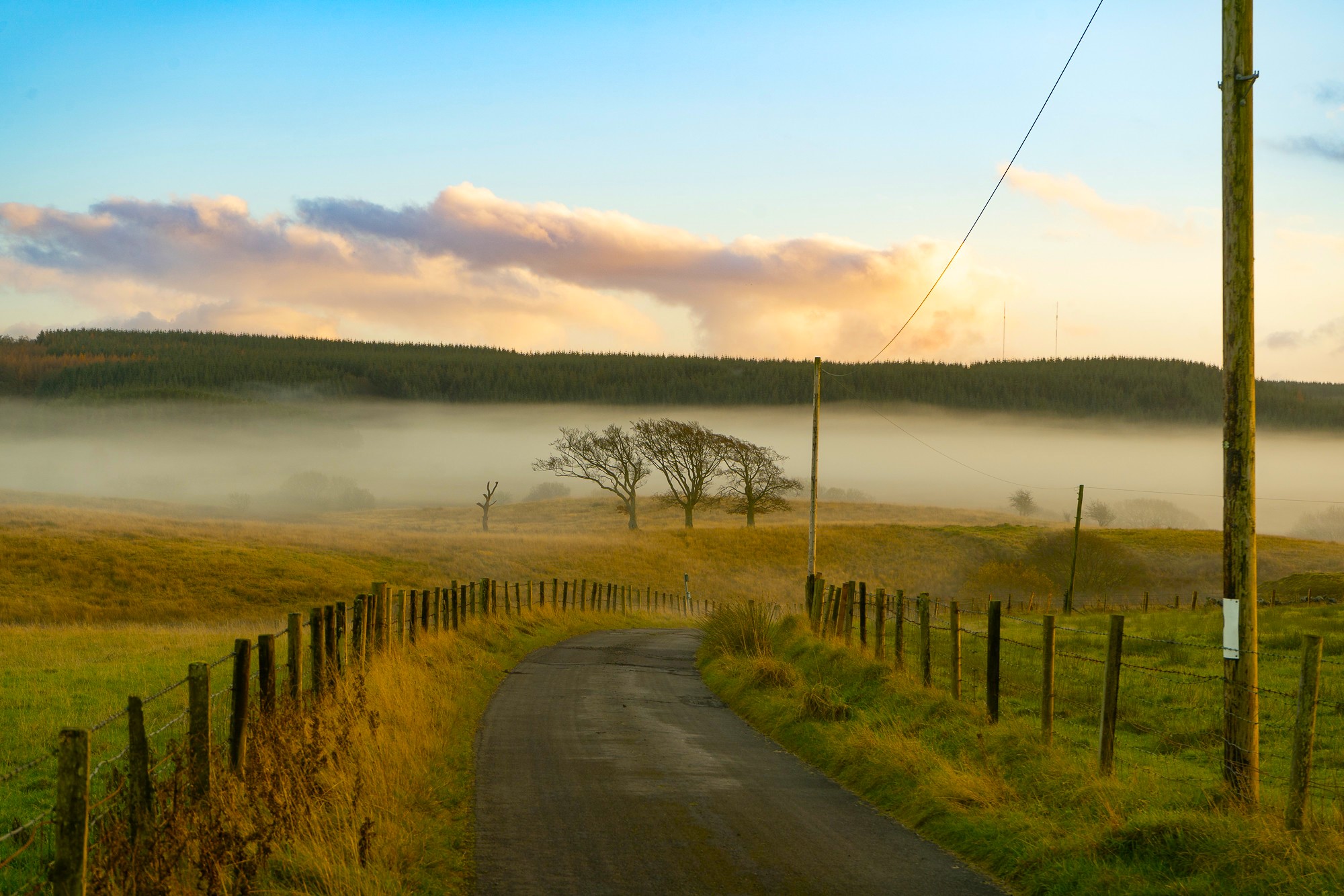 General 2000x1333 nature landscape trees sky clouds forest wood fence road grass morning mist Ireland