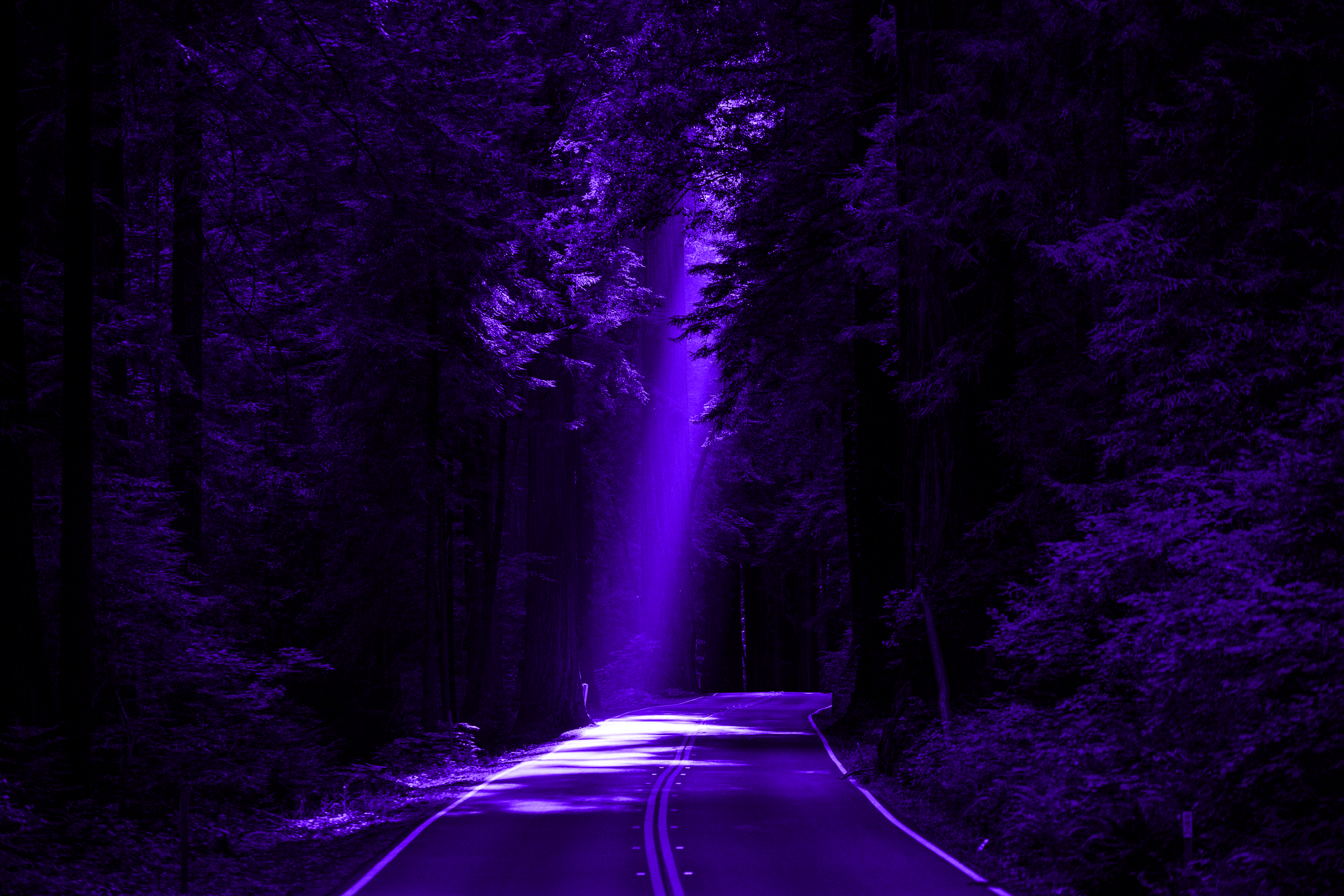 General 4096x2731 forest purple light purple night road trees dark