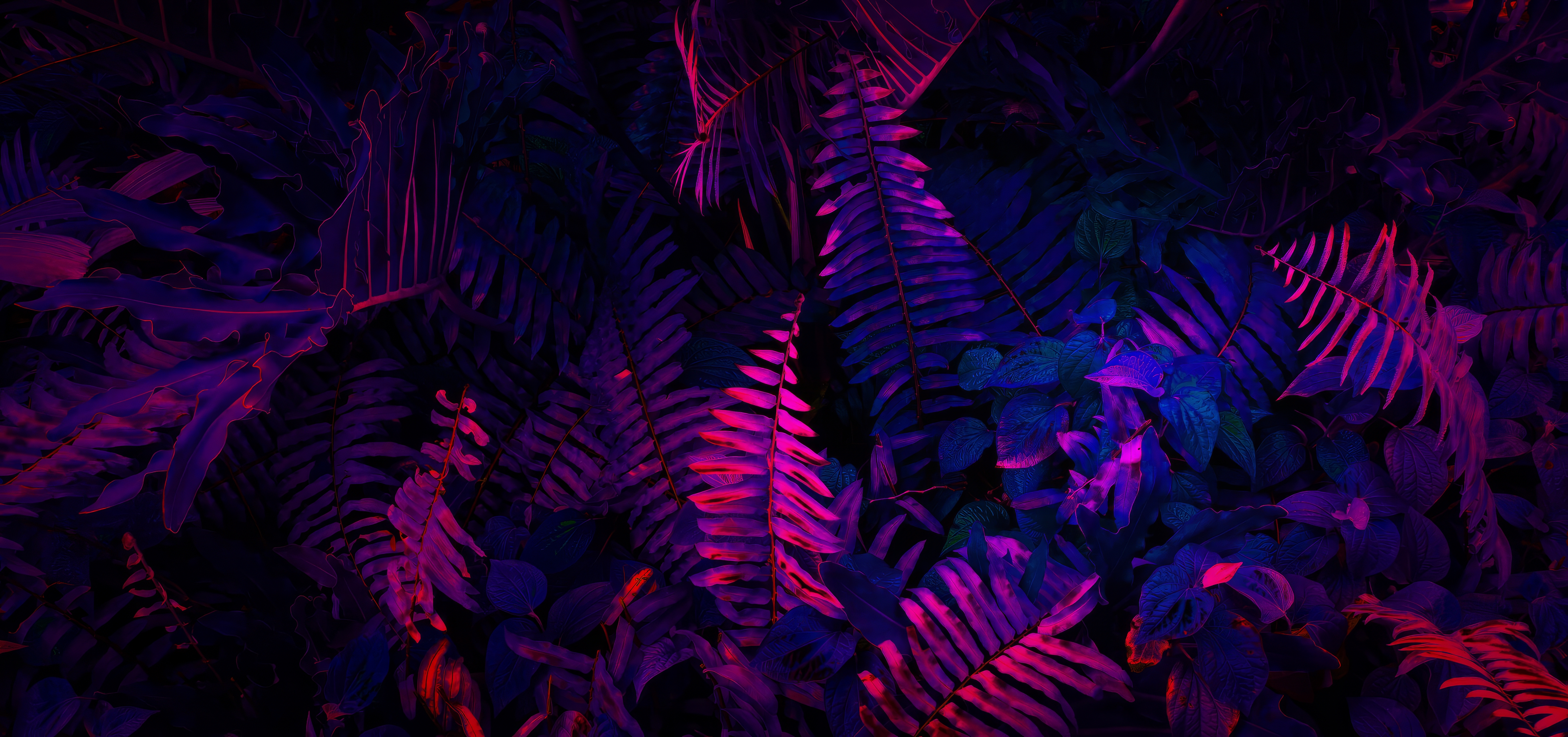 General 5050x2376 neon ferns plants nature blue pink dark red AI art exotic