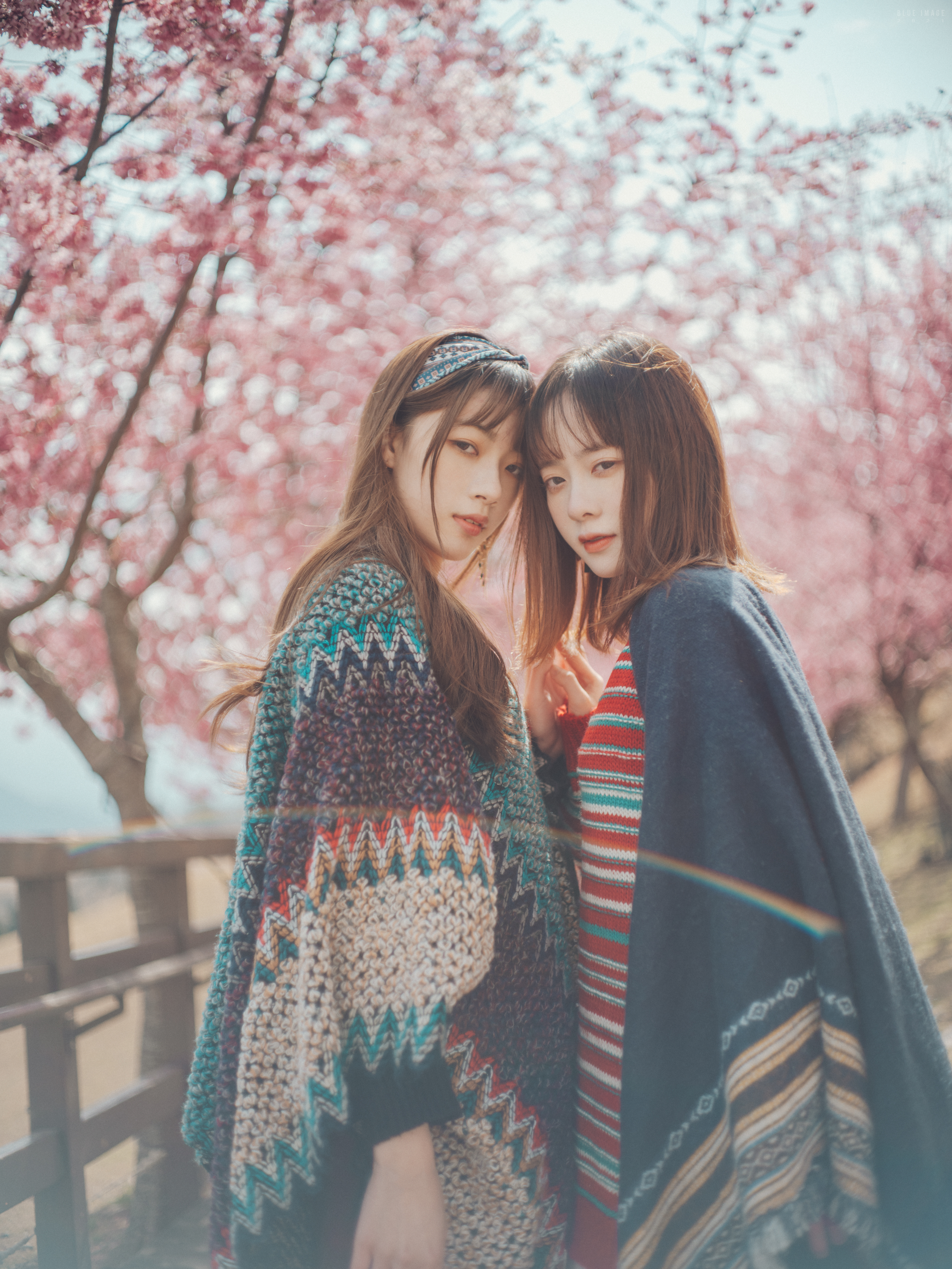 People 2880x3840 Asian women two women outdoors women outdoors model cherry blossom brunette looking at viewer